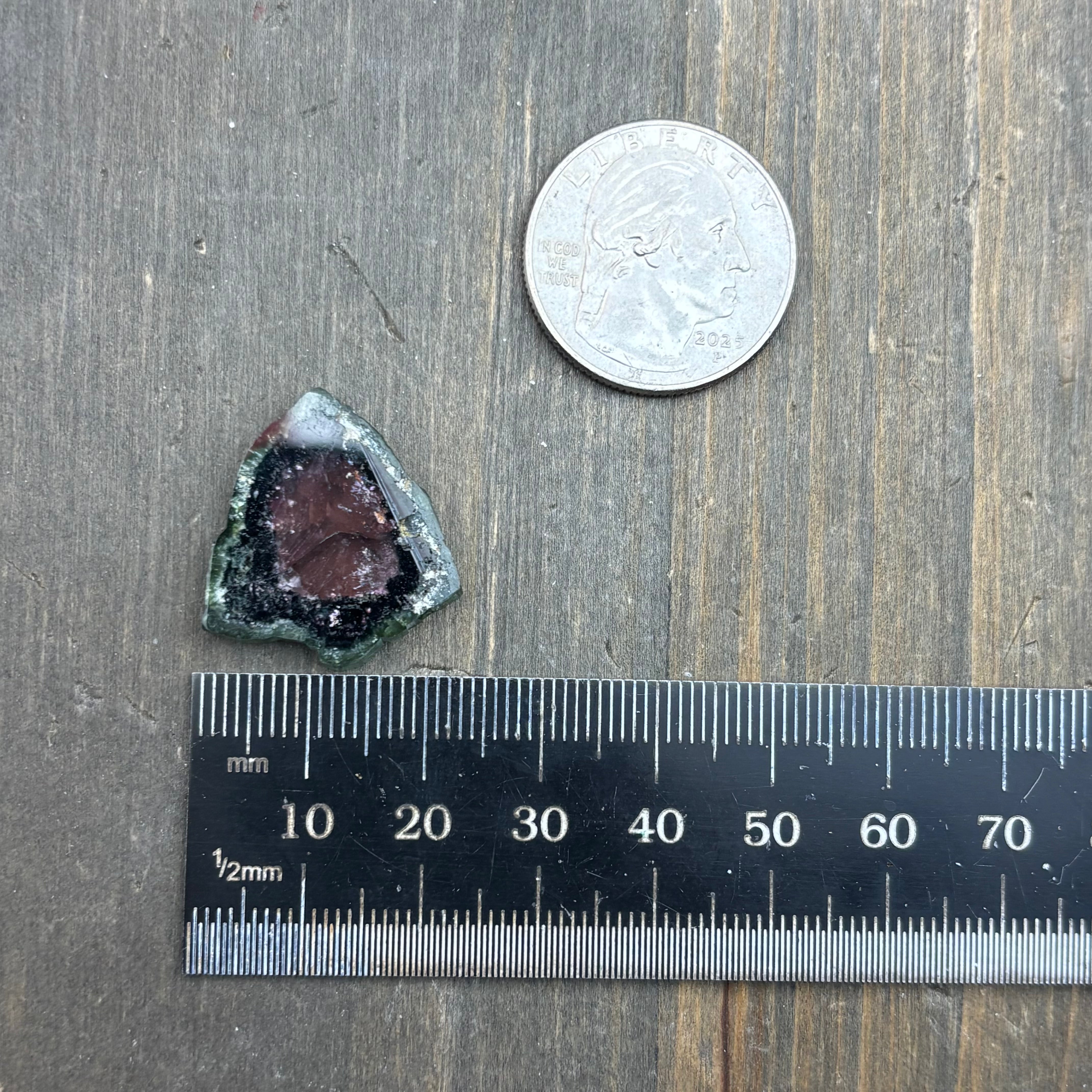 Watermelon Tourmaline Cross-Section  - 164