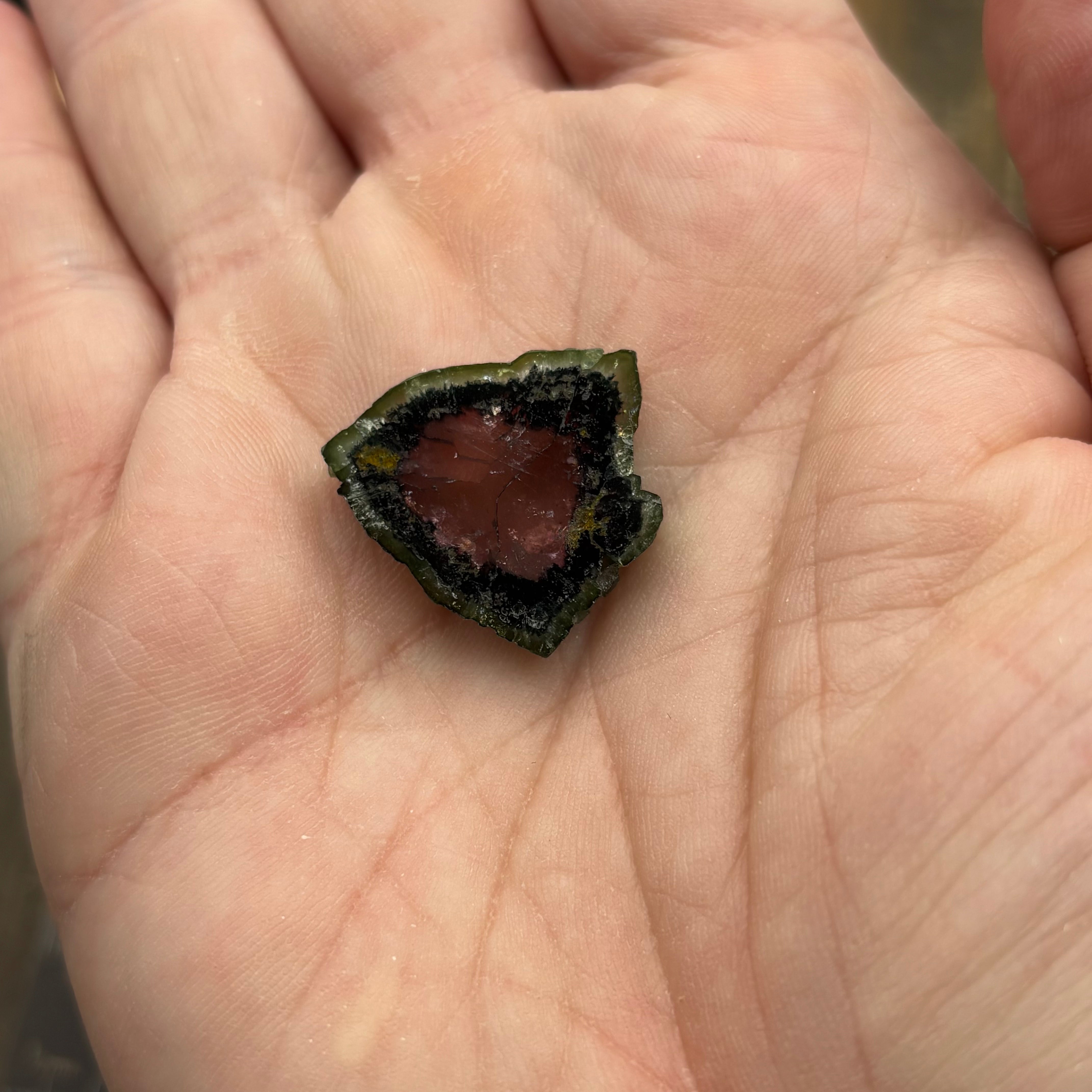 Watermelon Tourmaline Cross-Section  - 164