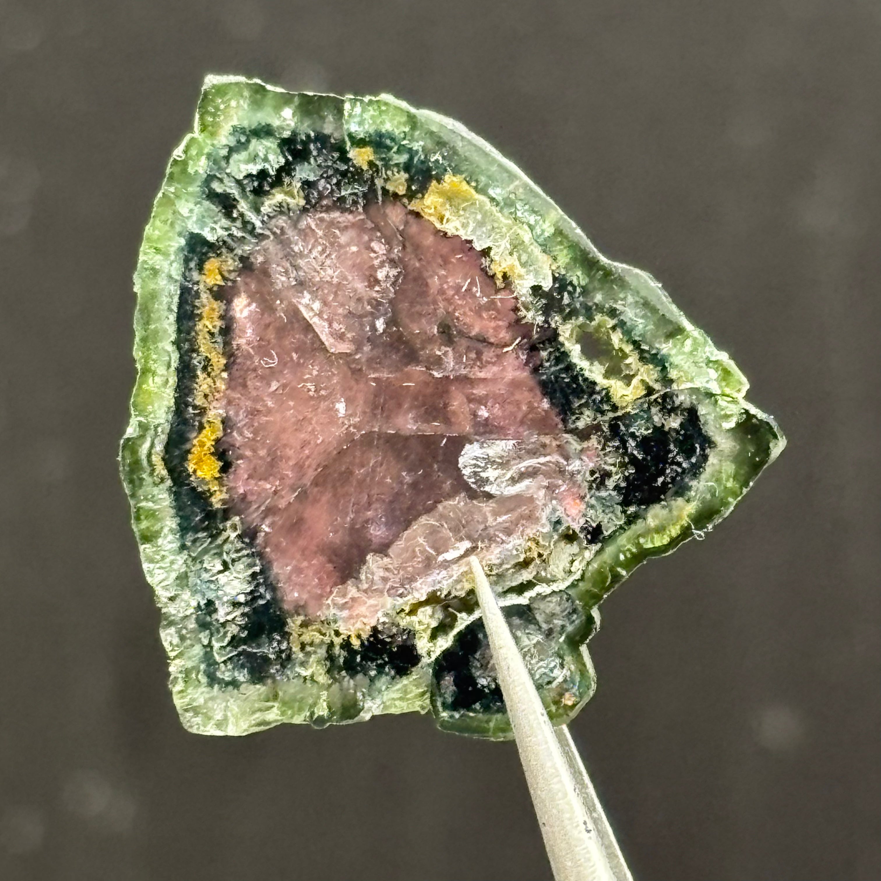 Watermelon Tourmaline Cross-Section  - 165