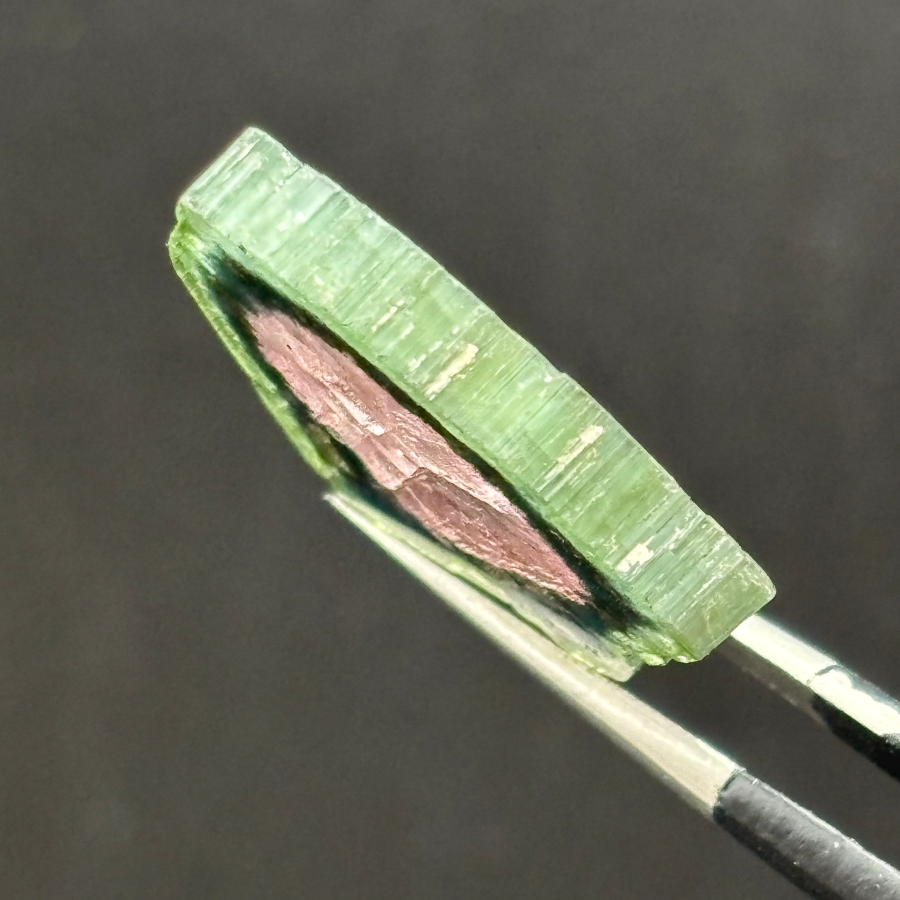 Watermelon Tourmaline Cross-Section  - 165