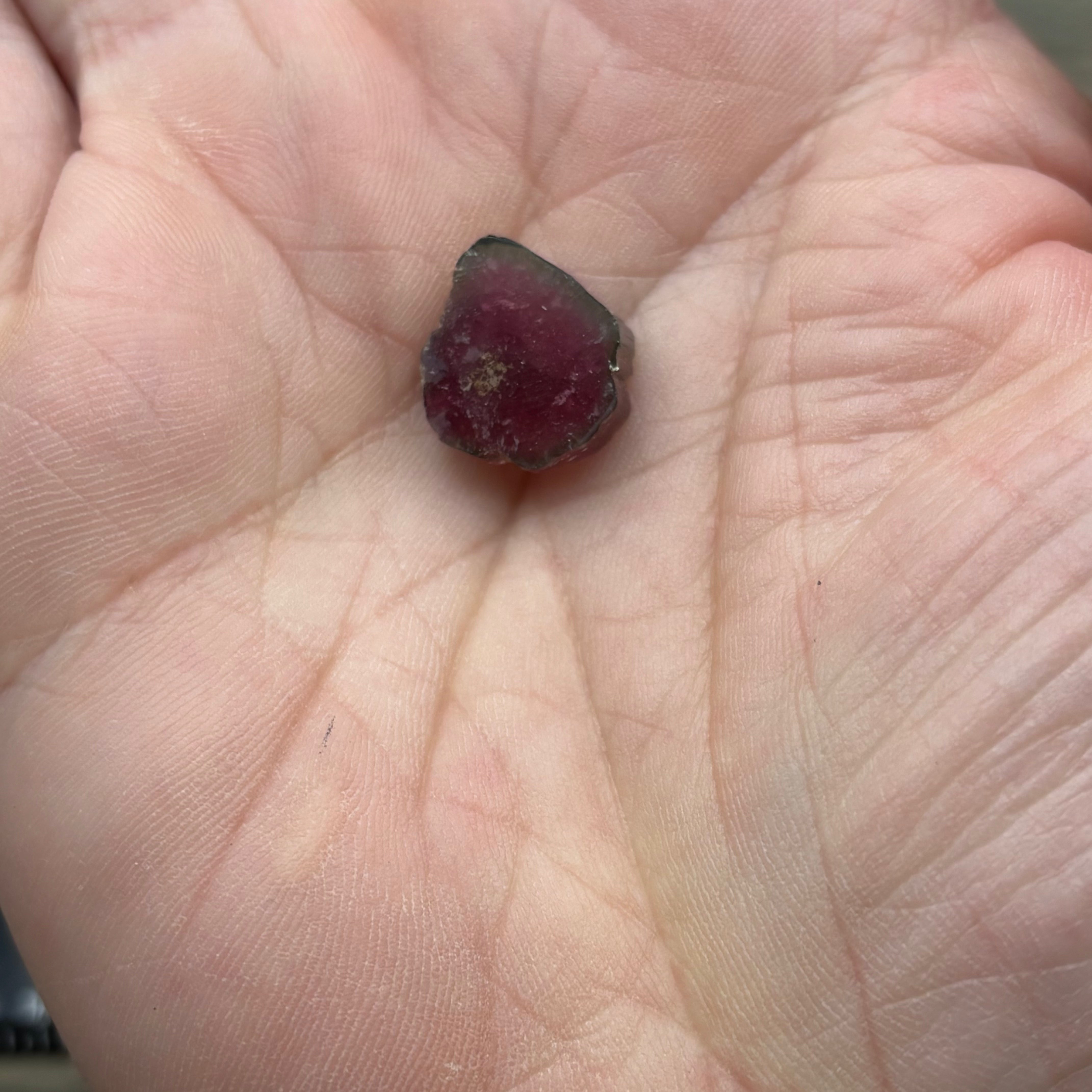 Watermelon Tourmaline Crystal Slice - 121