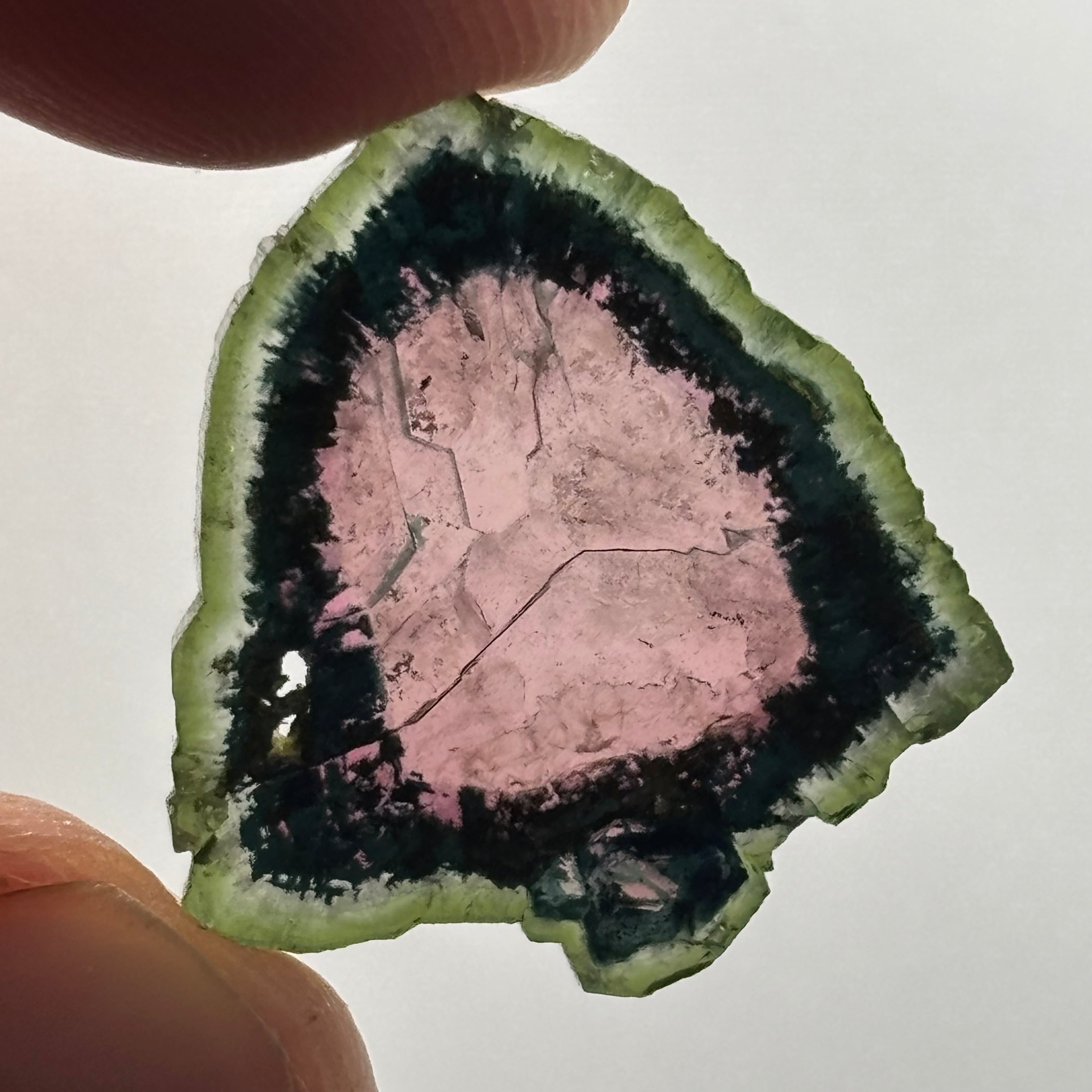 Watermelon Tourmaline Cross-Section  - 165
