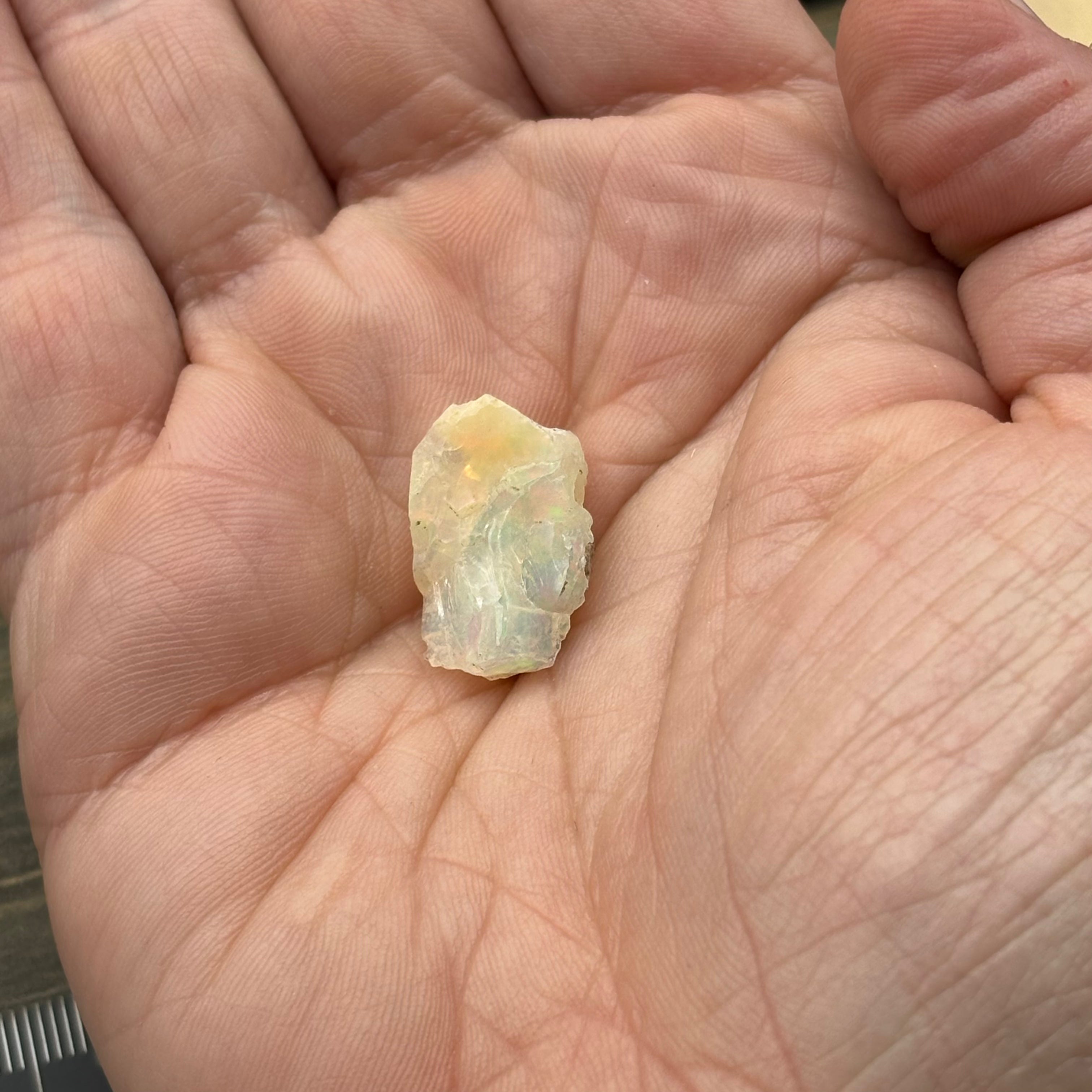 Welo Opal - 180
