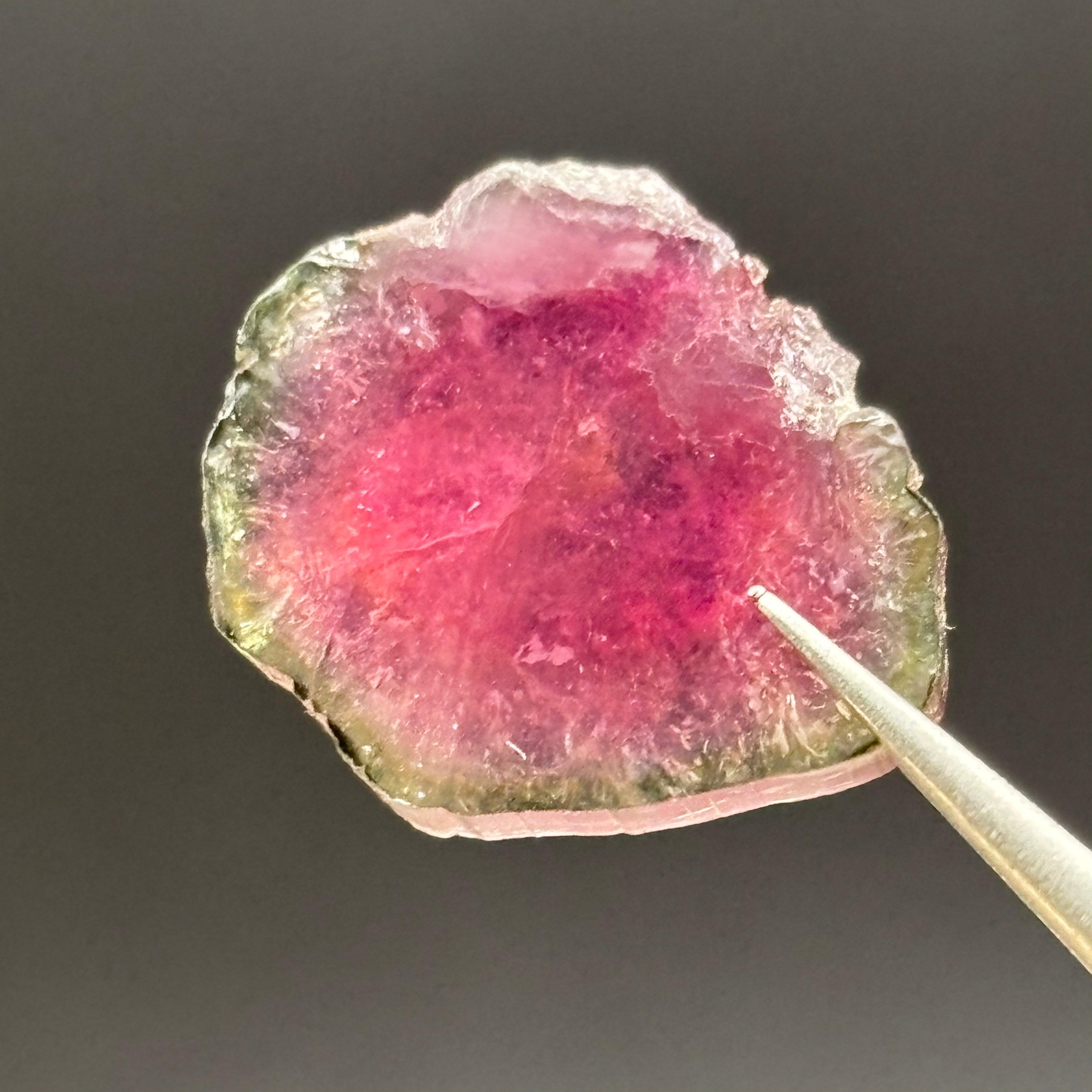 Watermelon Tourmaline Crystal Slice - 122