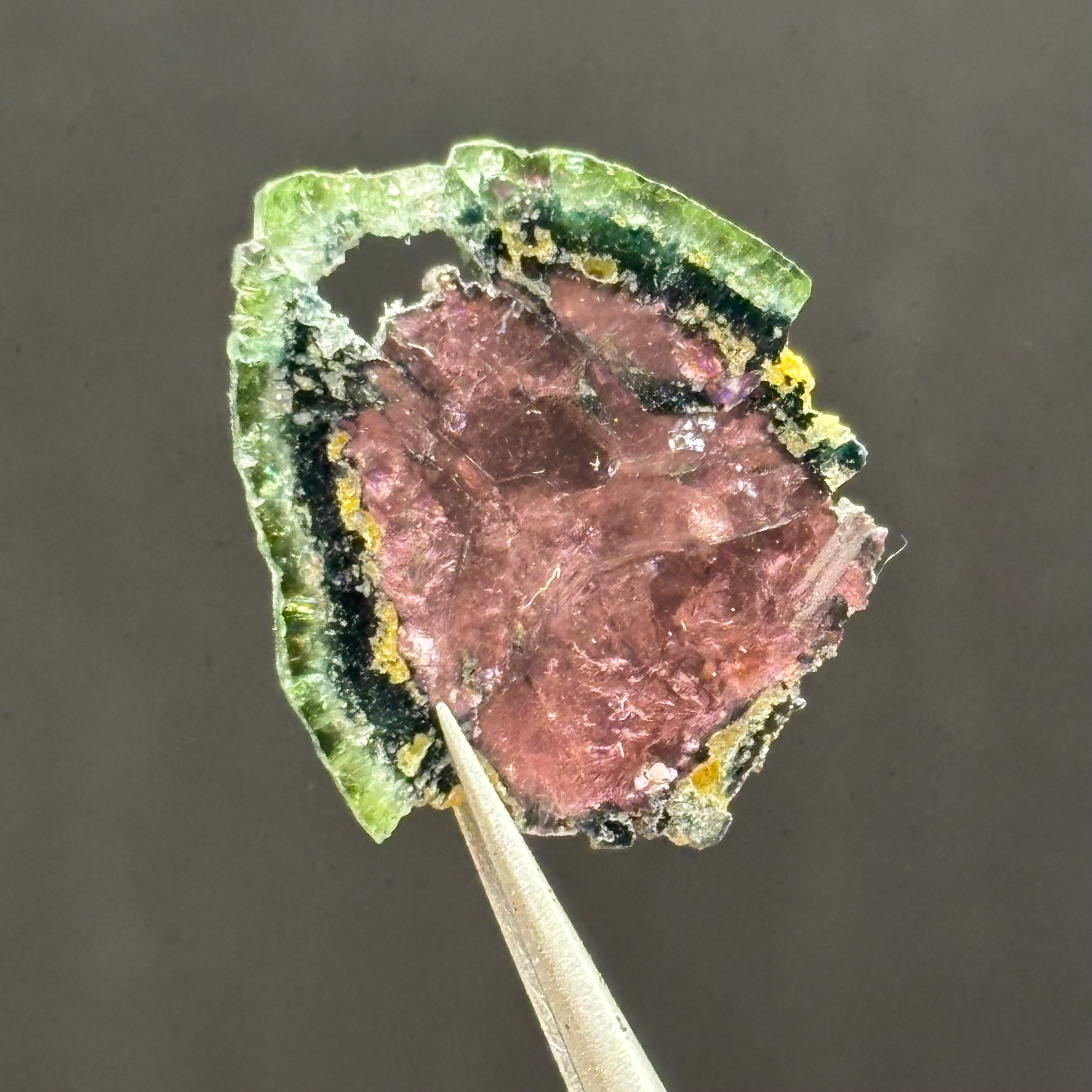 Watermelon Tourmaline Cross-Section  - 166