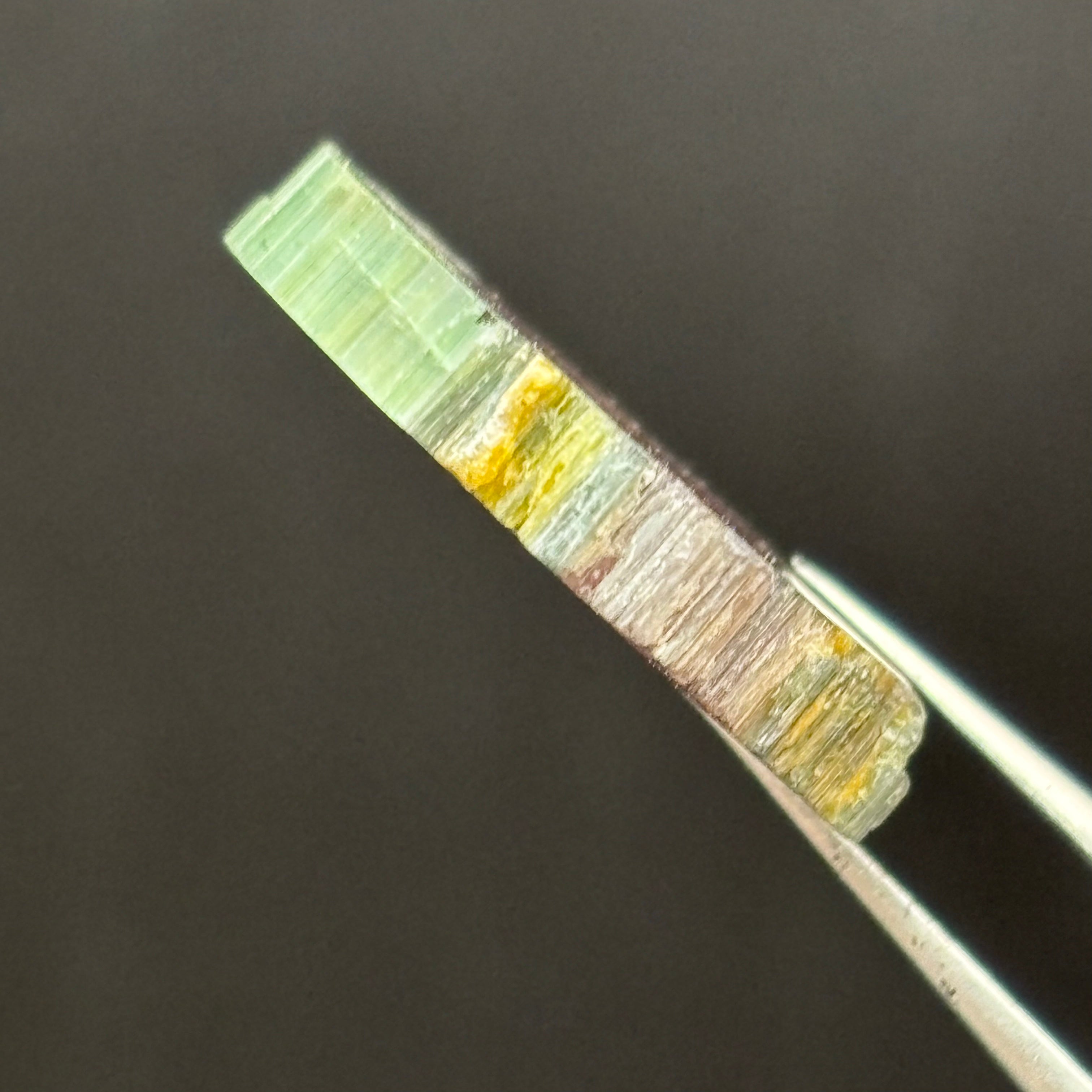 Watermelon Tourmaline Cross-Section  - 166