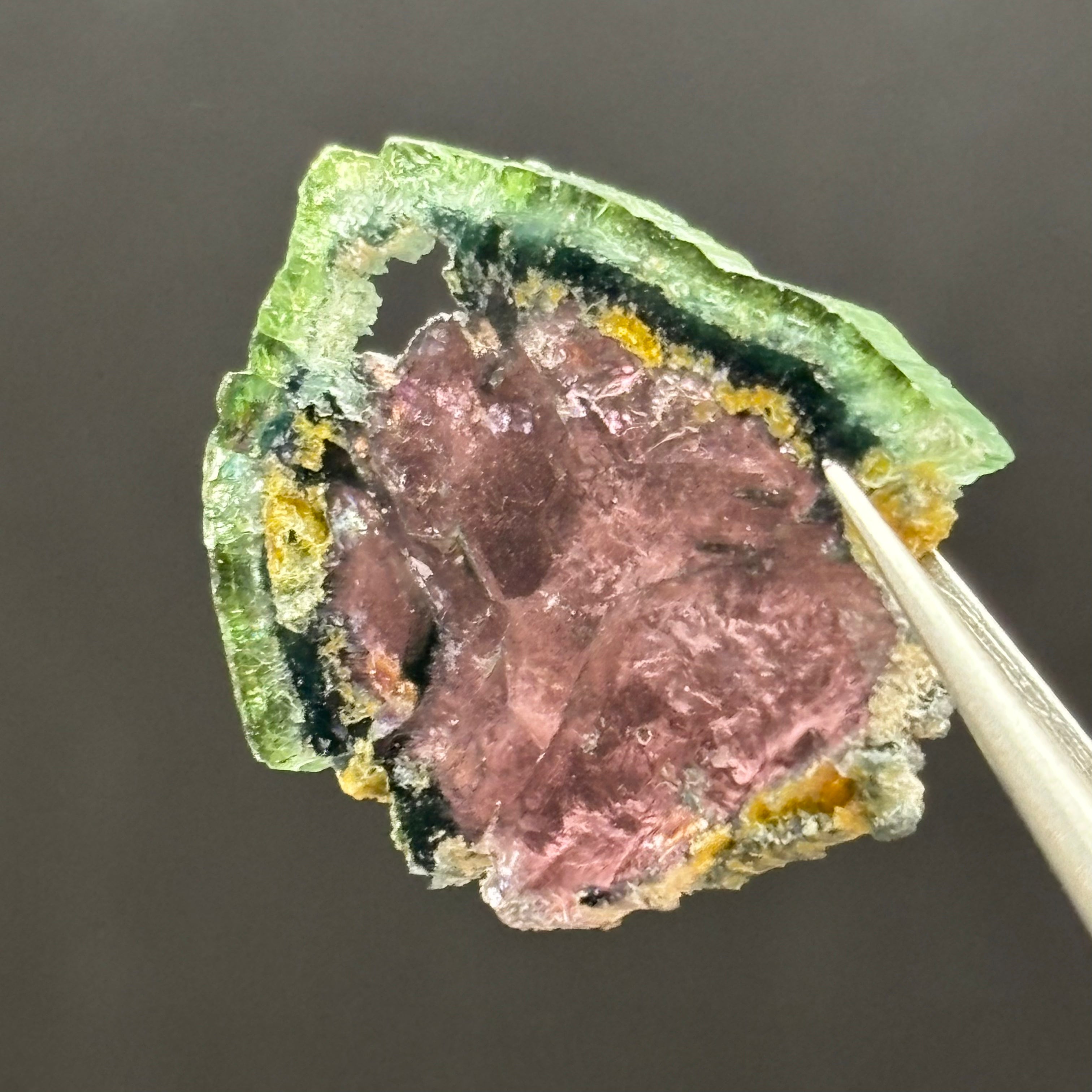 Watermelon Tourmaline Cross-Section  - 166