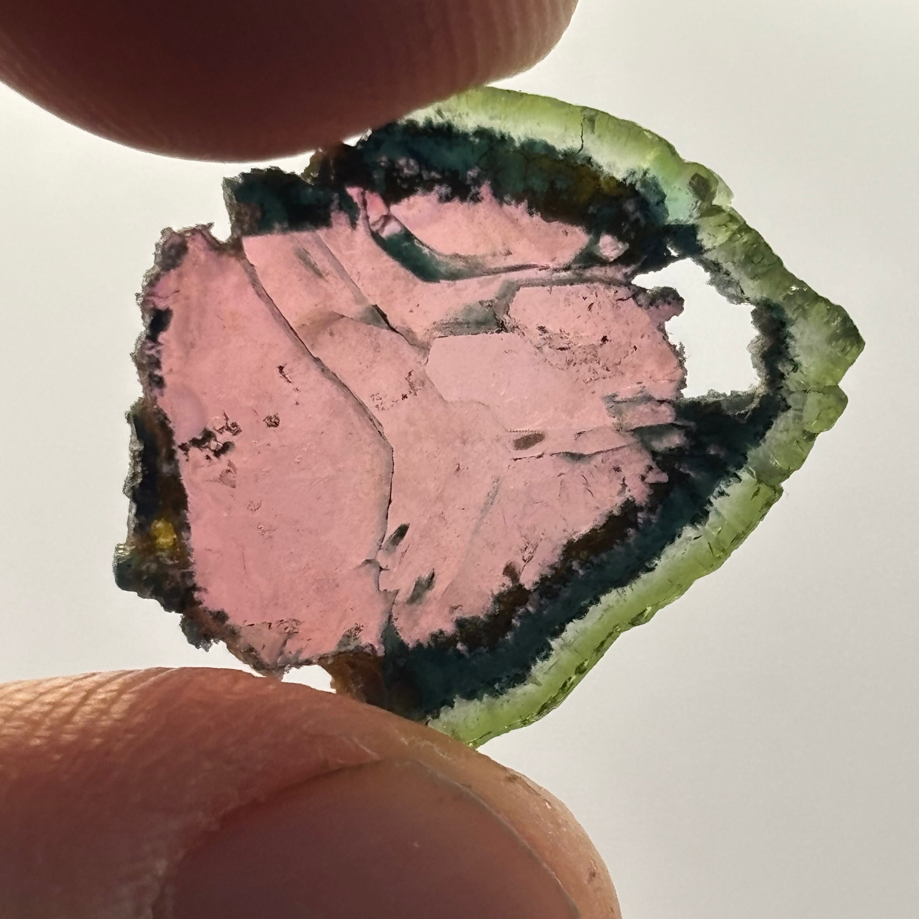 Watermelon Tourmaline Cross-Section  - 166