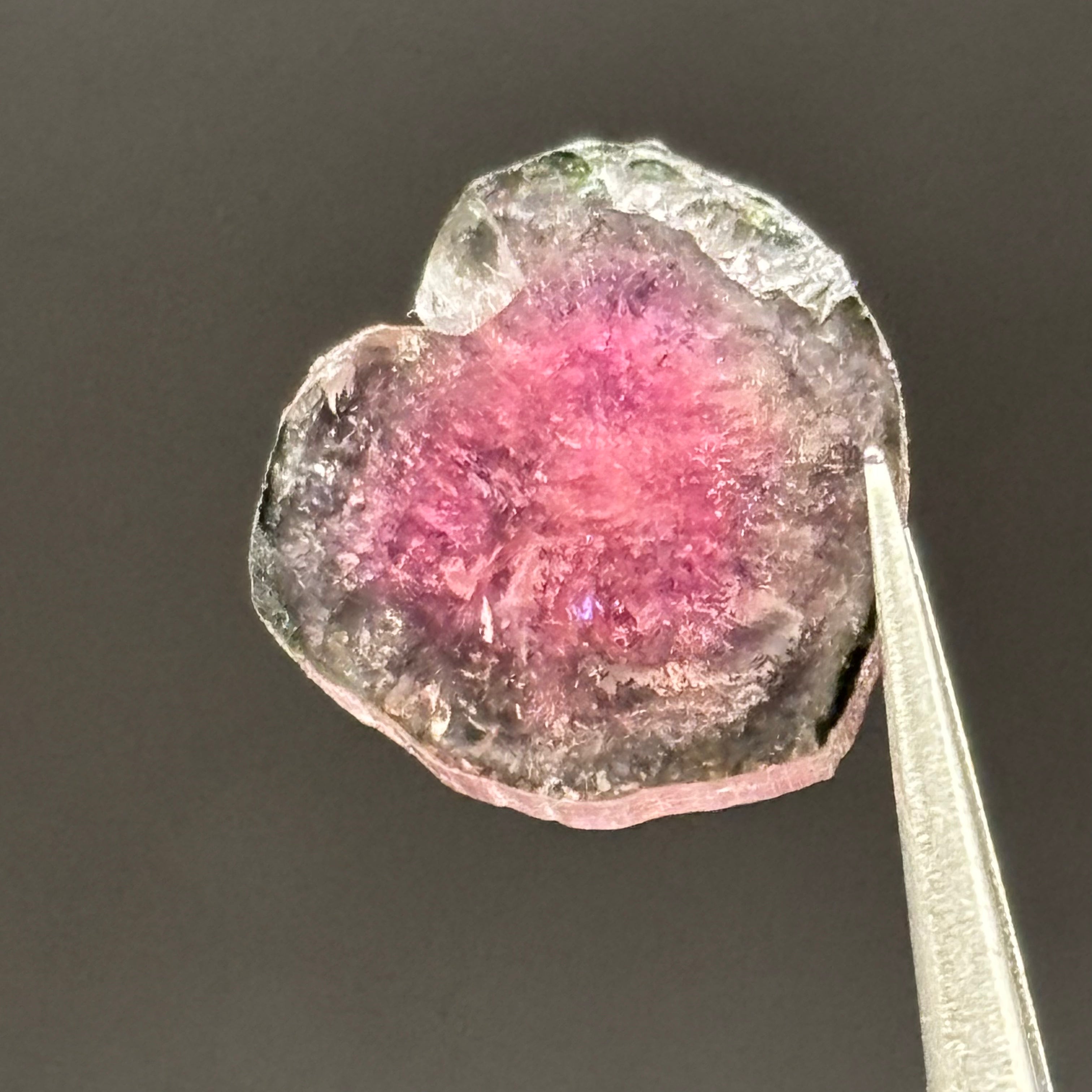 Watermelon Tourmaline Crystal Slice - 123