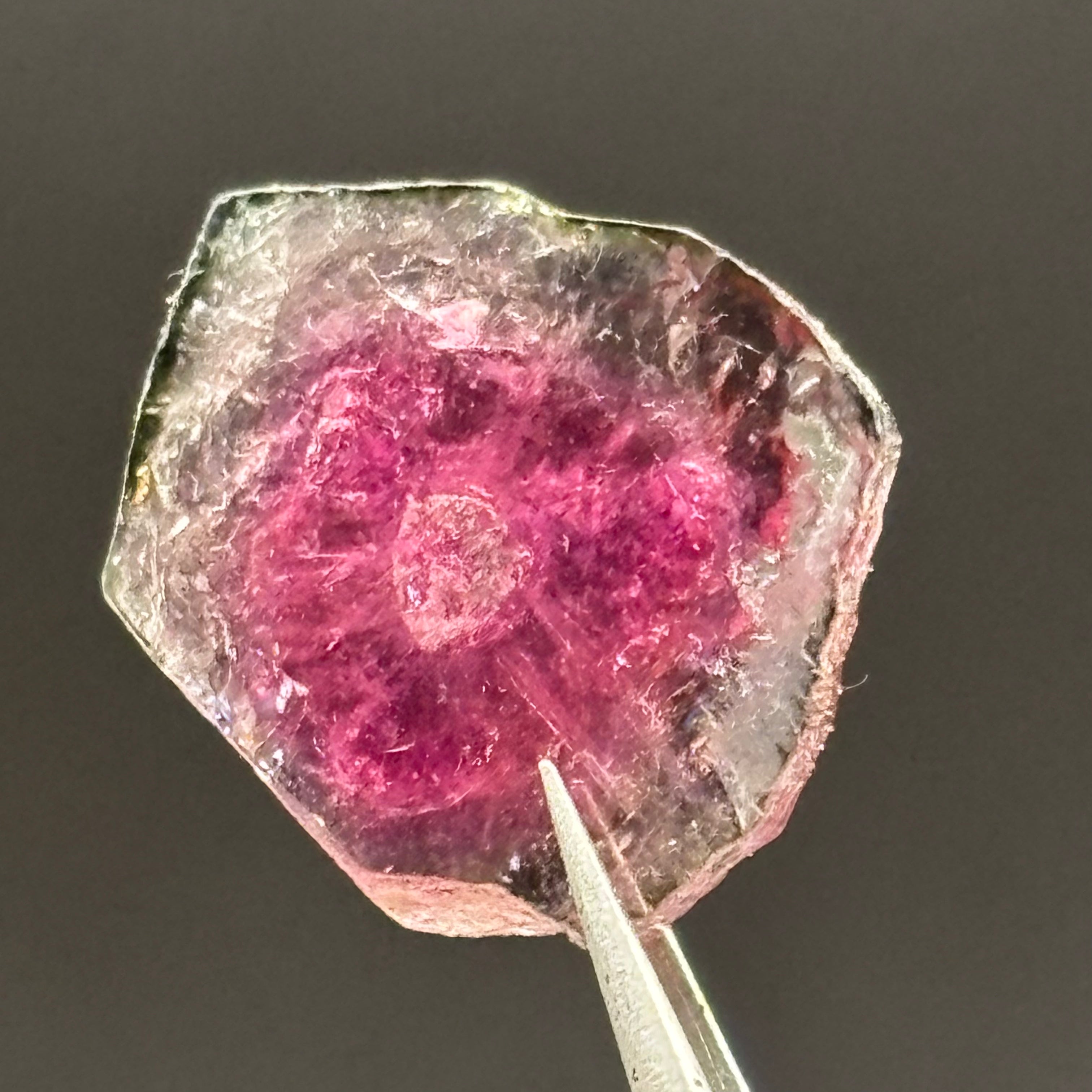 Watermelon Tourmaline Crystal Slice - 124