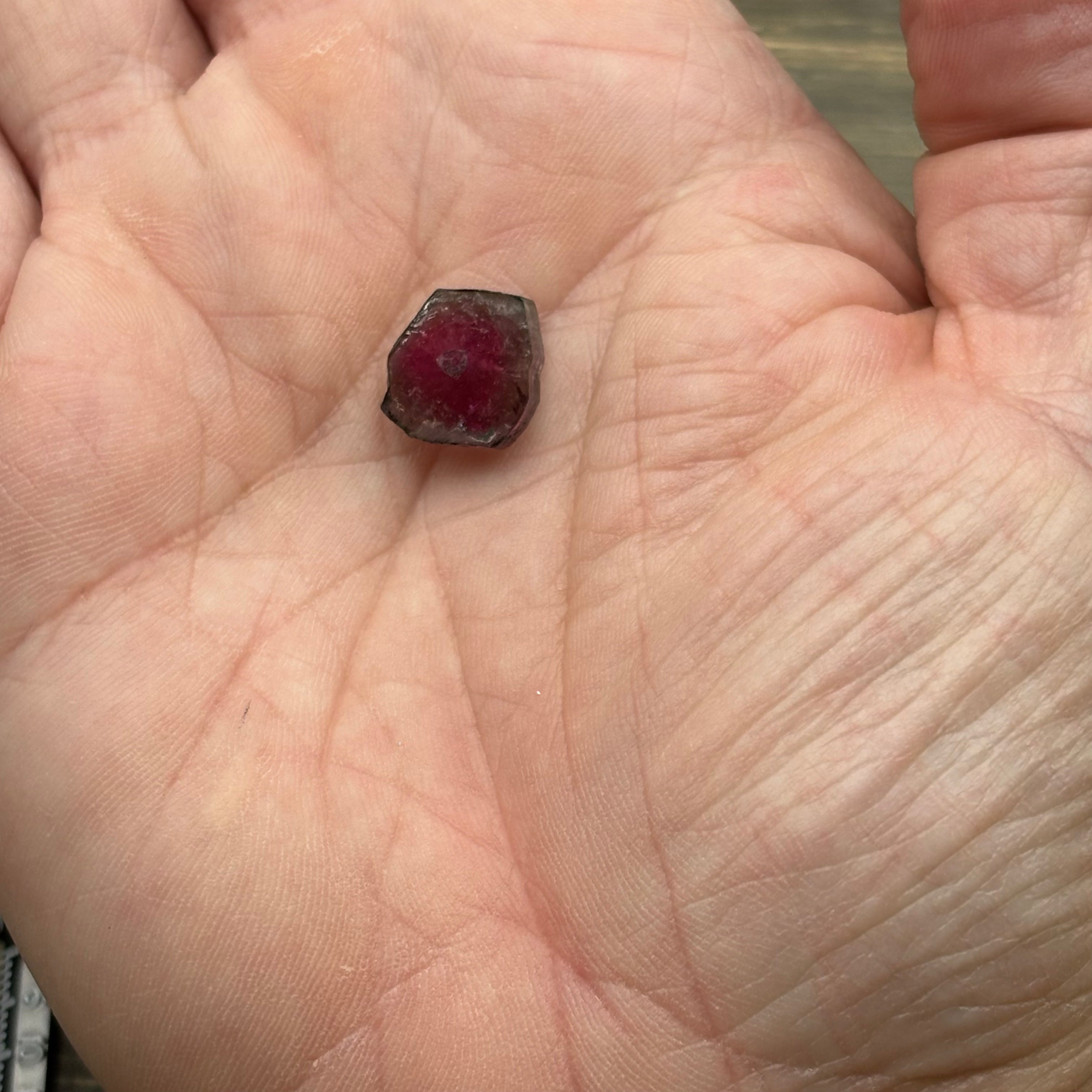 Watermelon Tourmaline Crystal Slice - 124