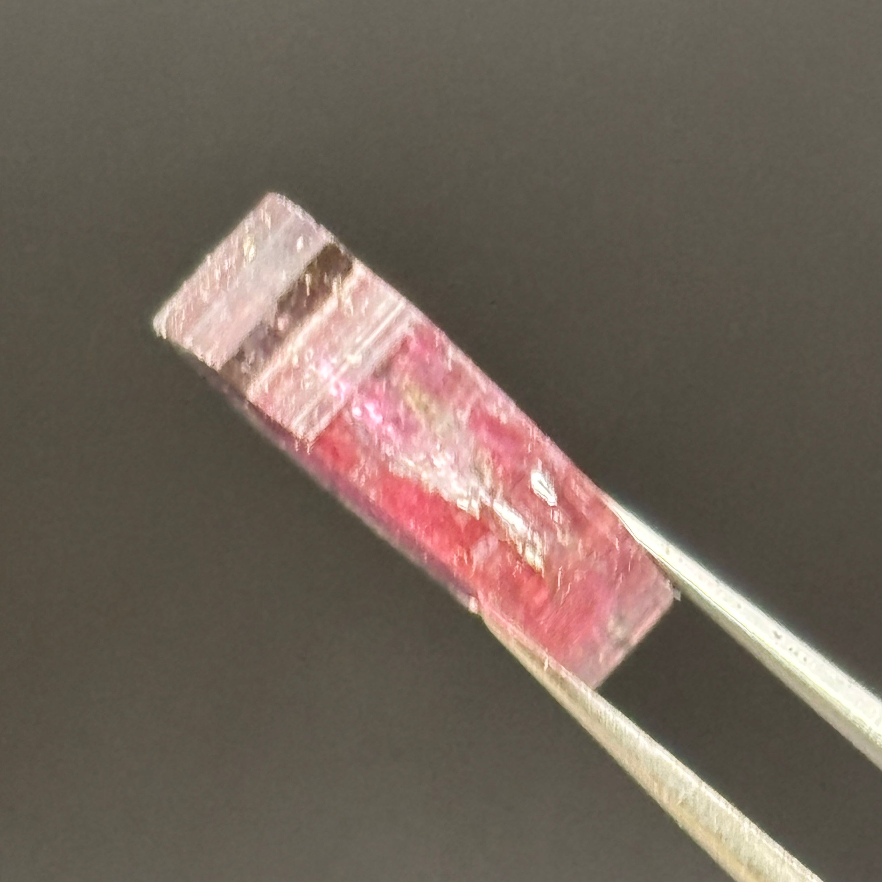 Watermelon Tourmaline Crystal Slice - 125