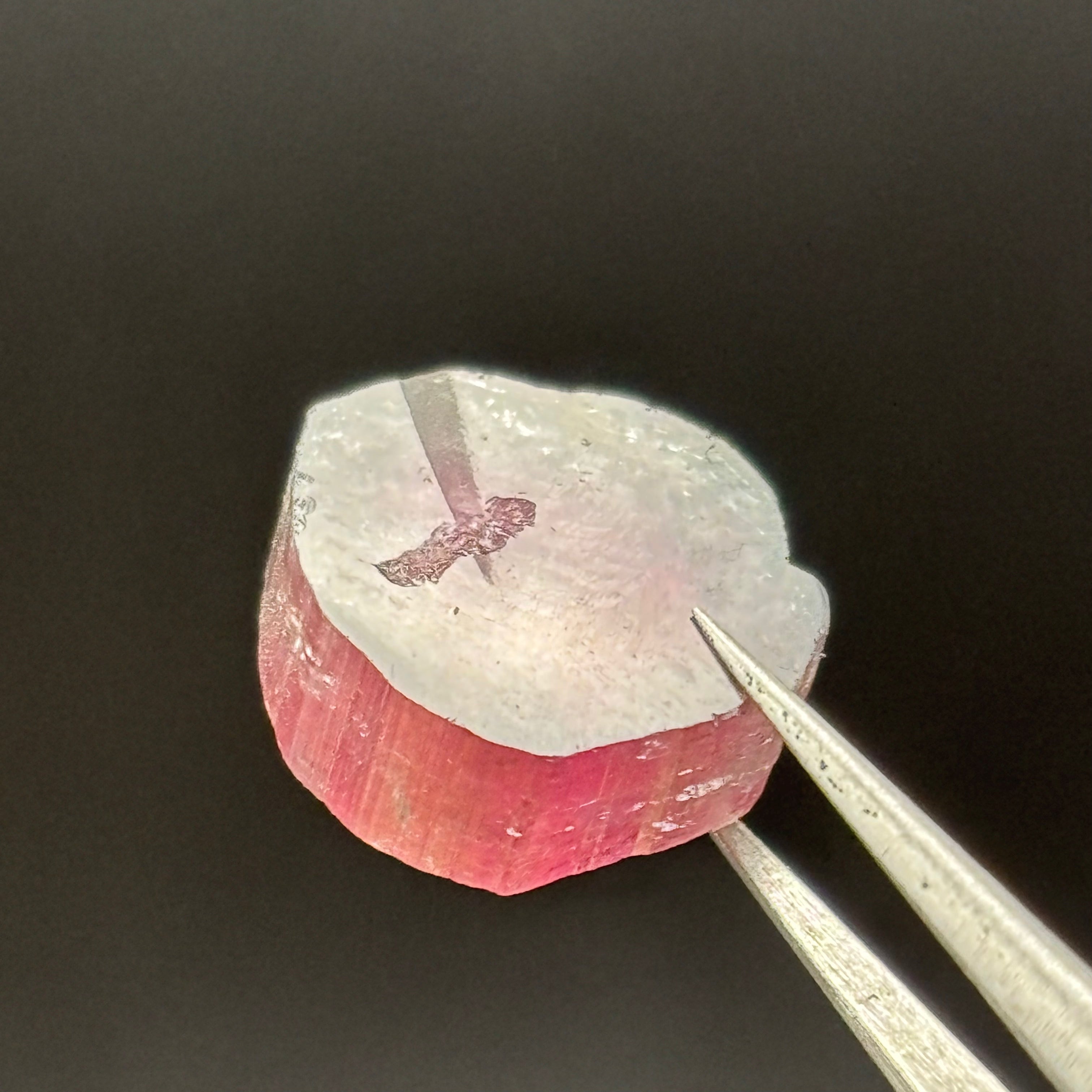 Watermelon Tourmaline Crystal Slice - 126