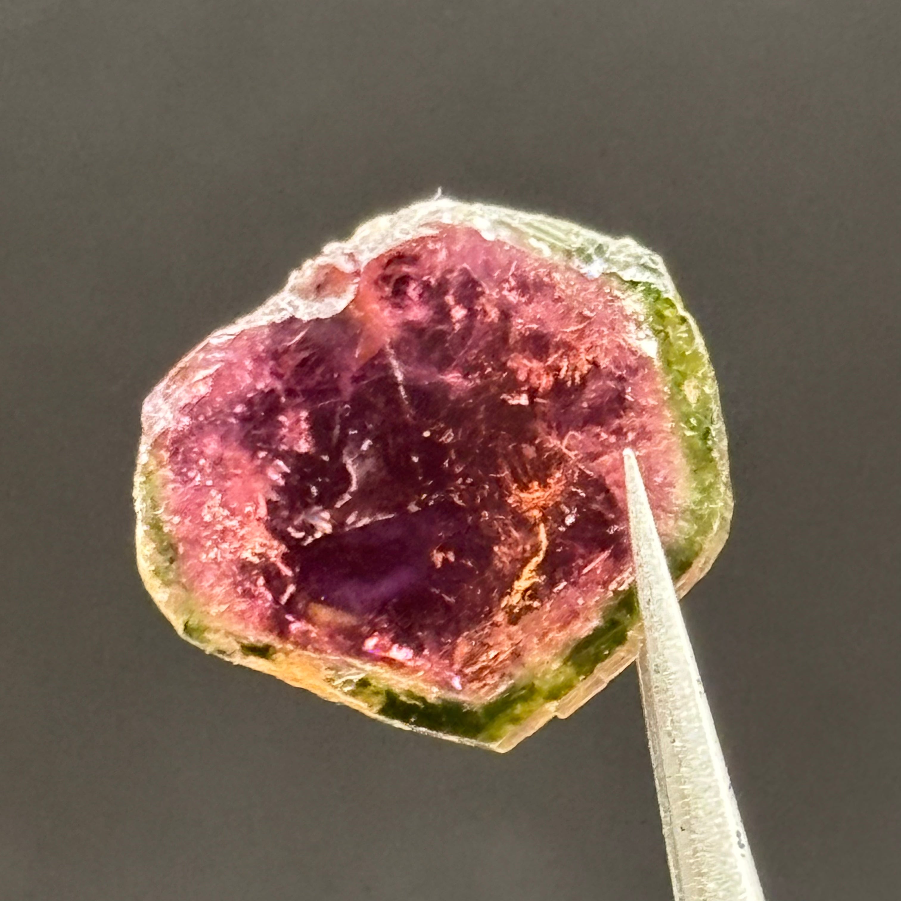 Watermelon Tourmaline Crystal Slice - 127