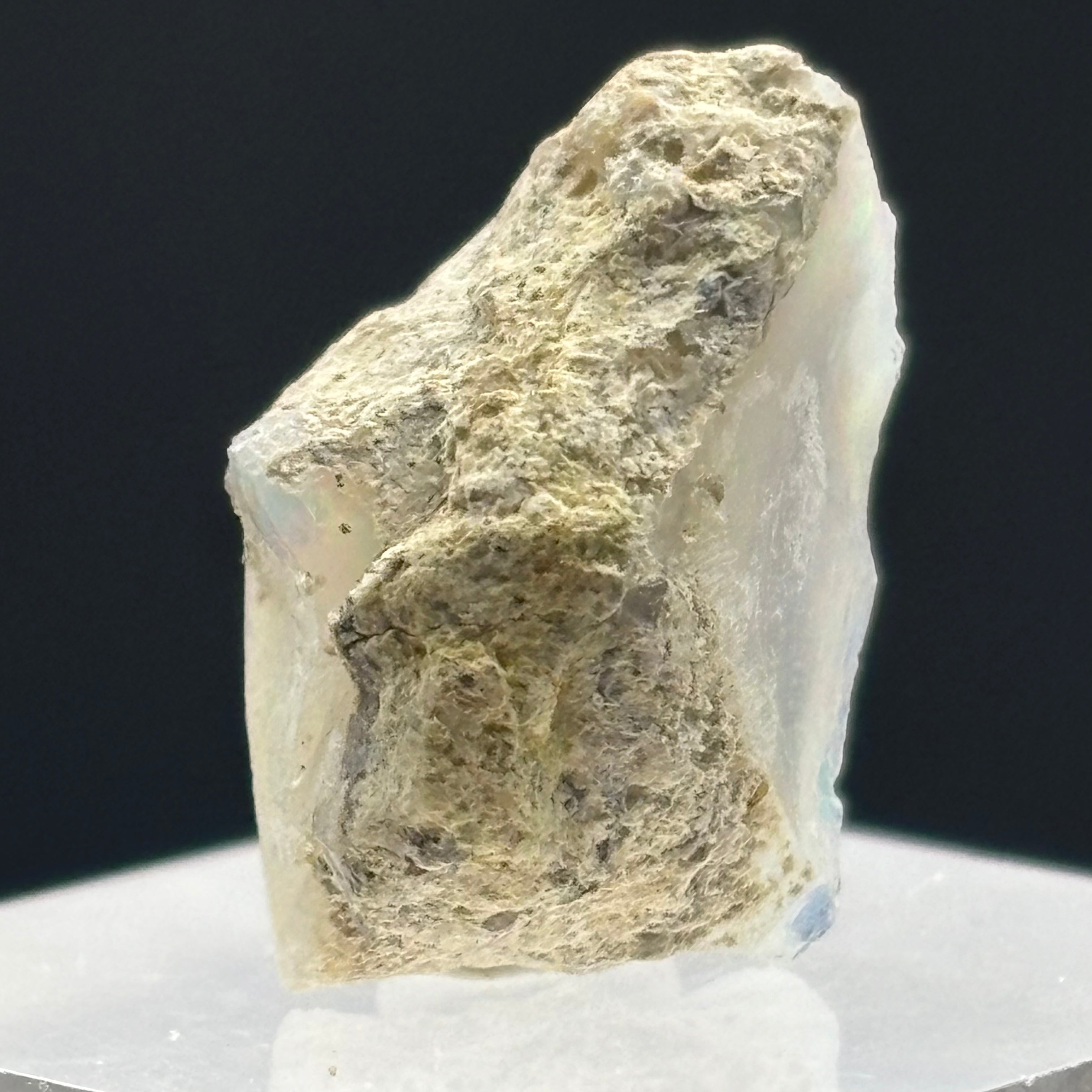 Welo Opal - 184