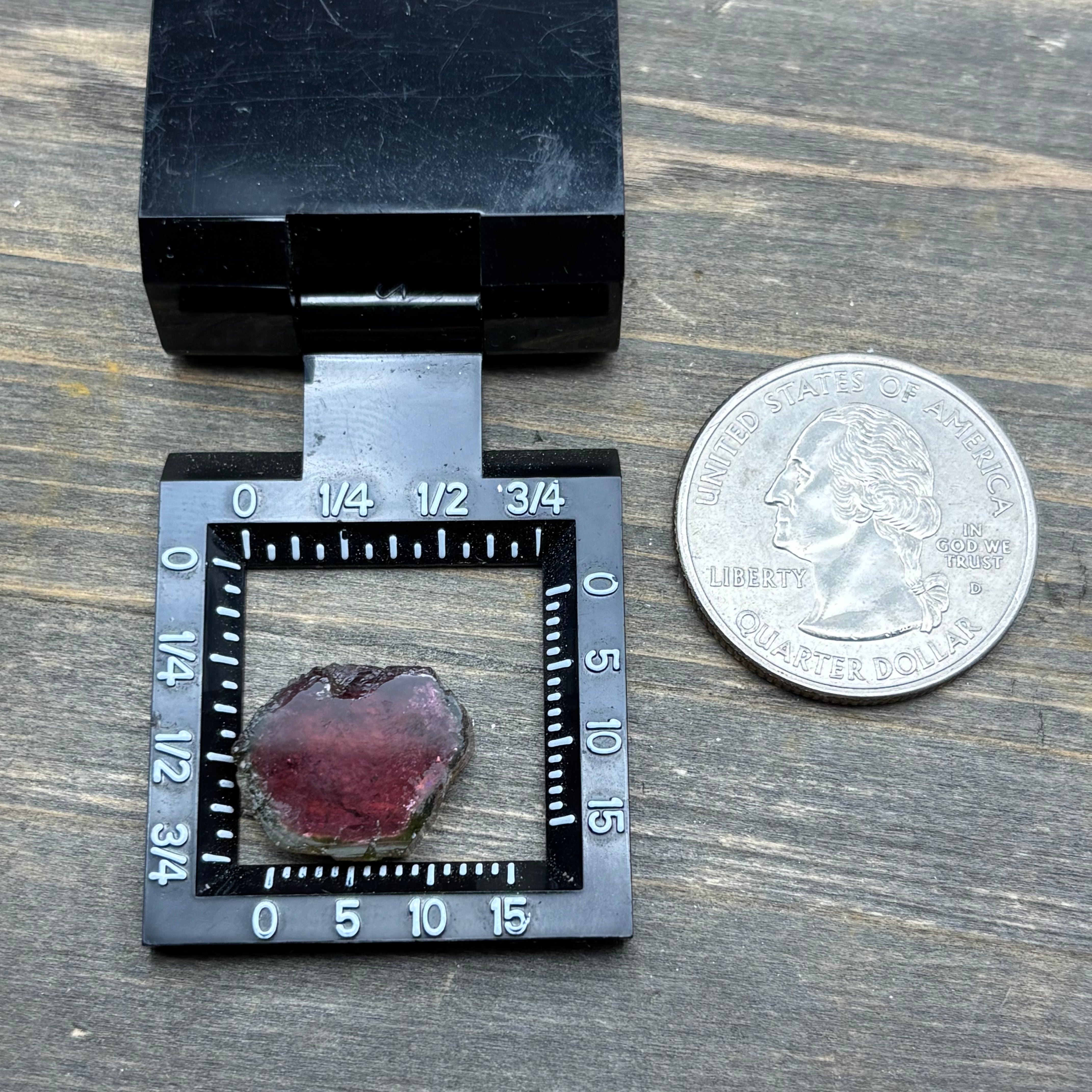 Watermelon Tourmaline Crystal Slice - 127