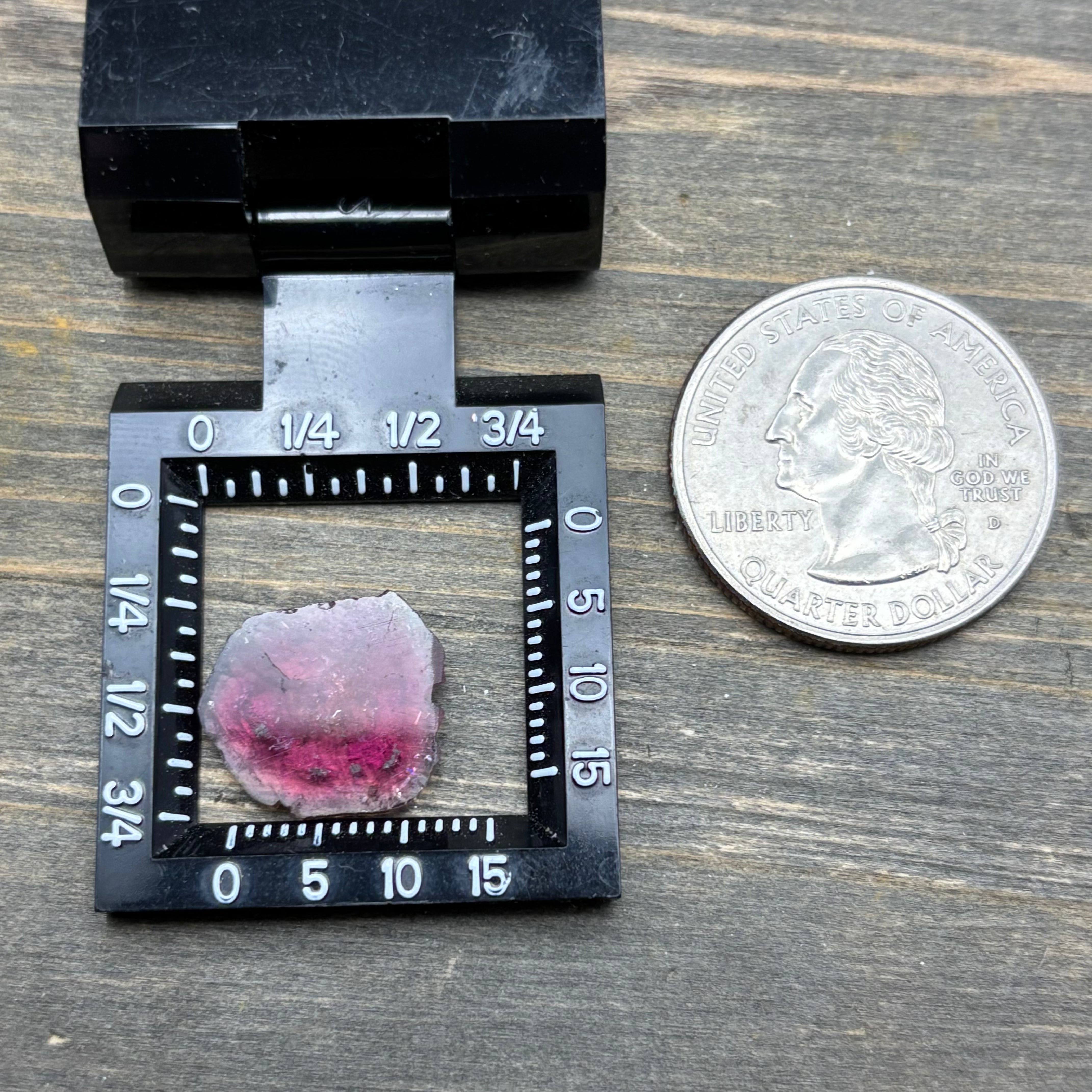 Watermelon Tourmaline Crystal Slice - 128