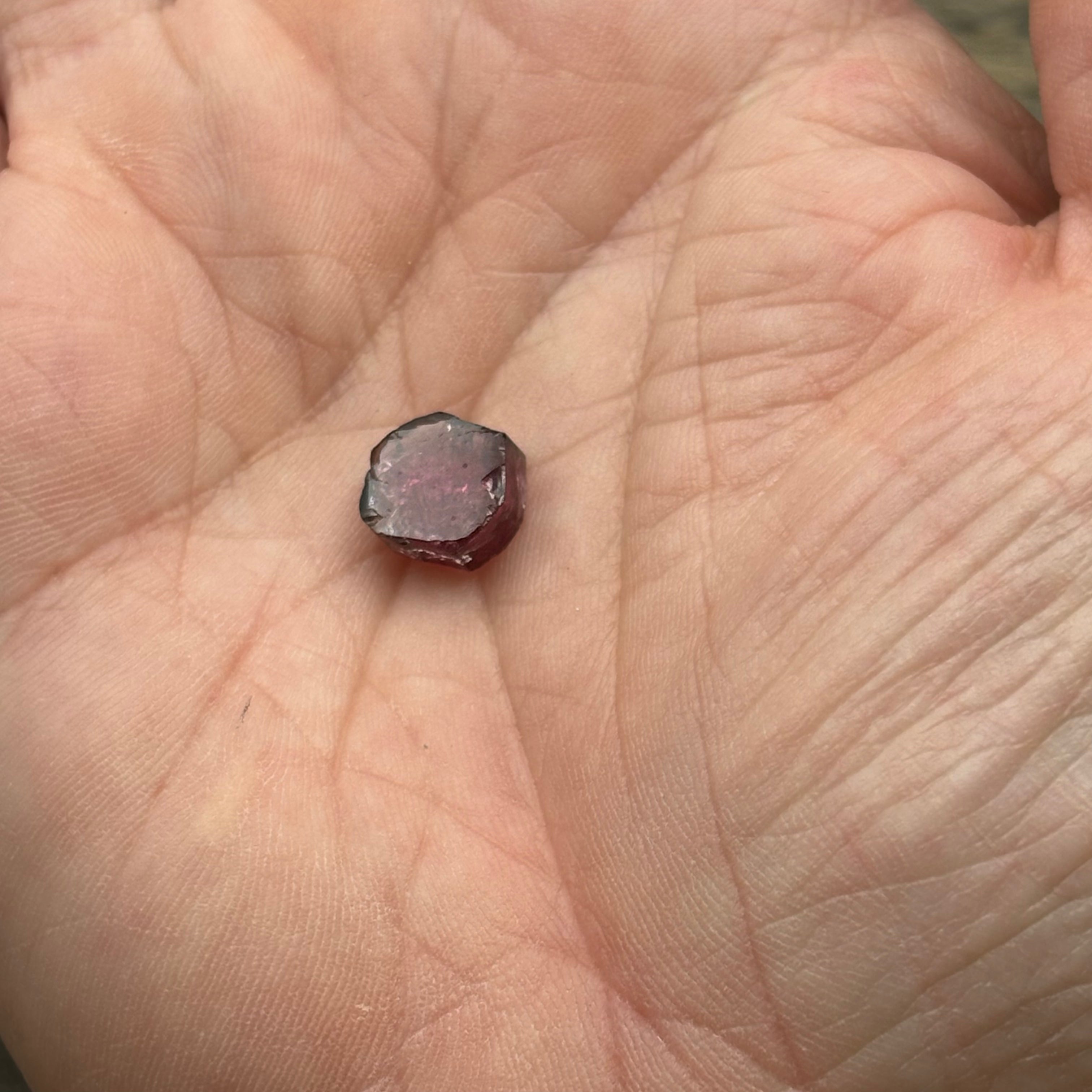 Watermelon Tourmaline Crystal Slice - 129