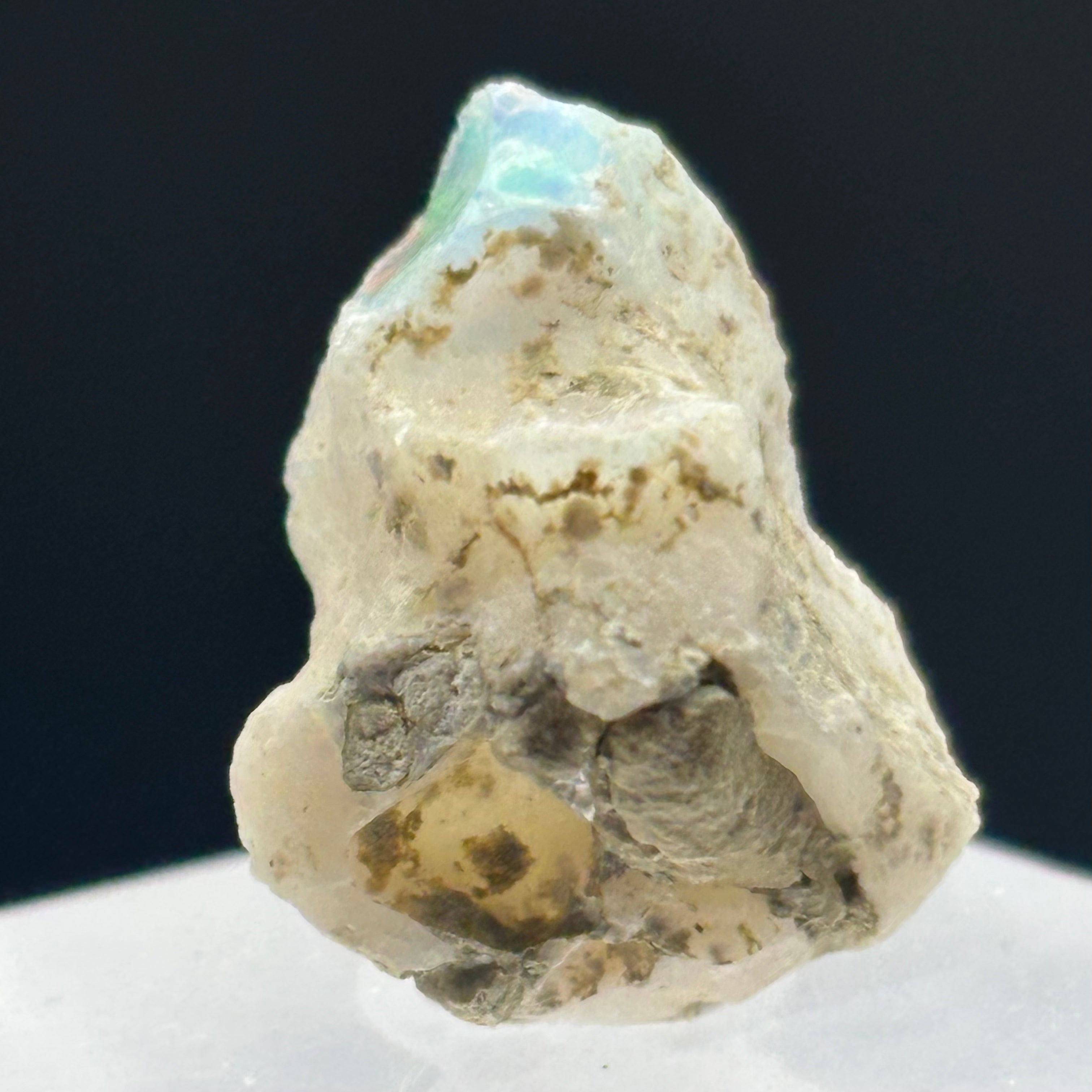 Welo Opal - 186