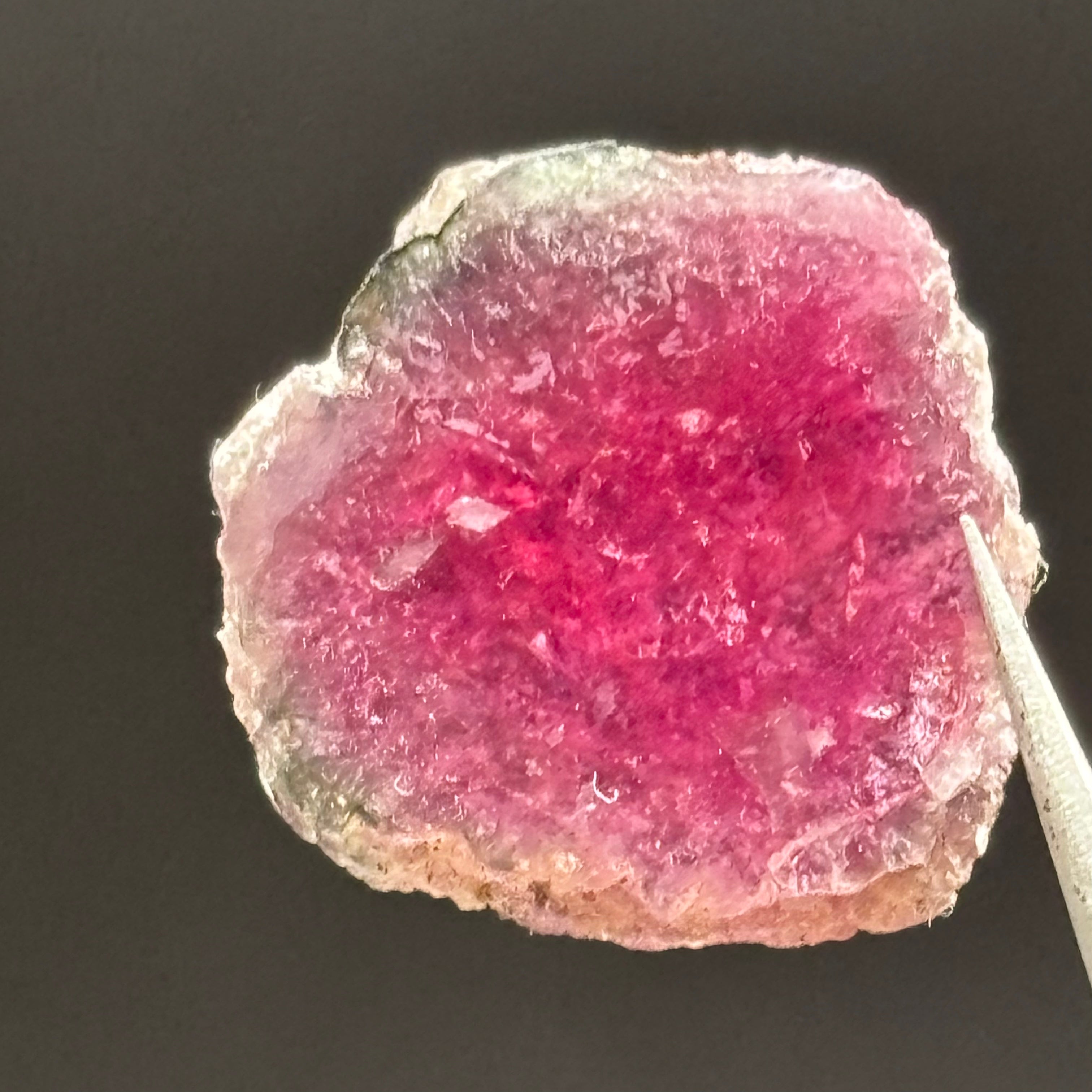 Watermelon Tourmaline Crystal Slice - 130