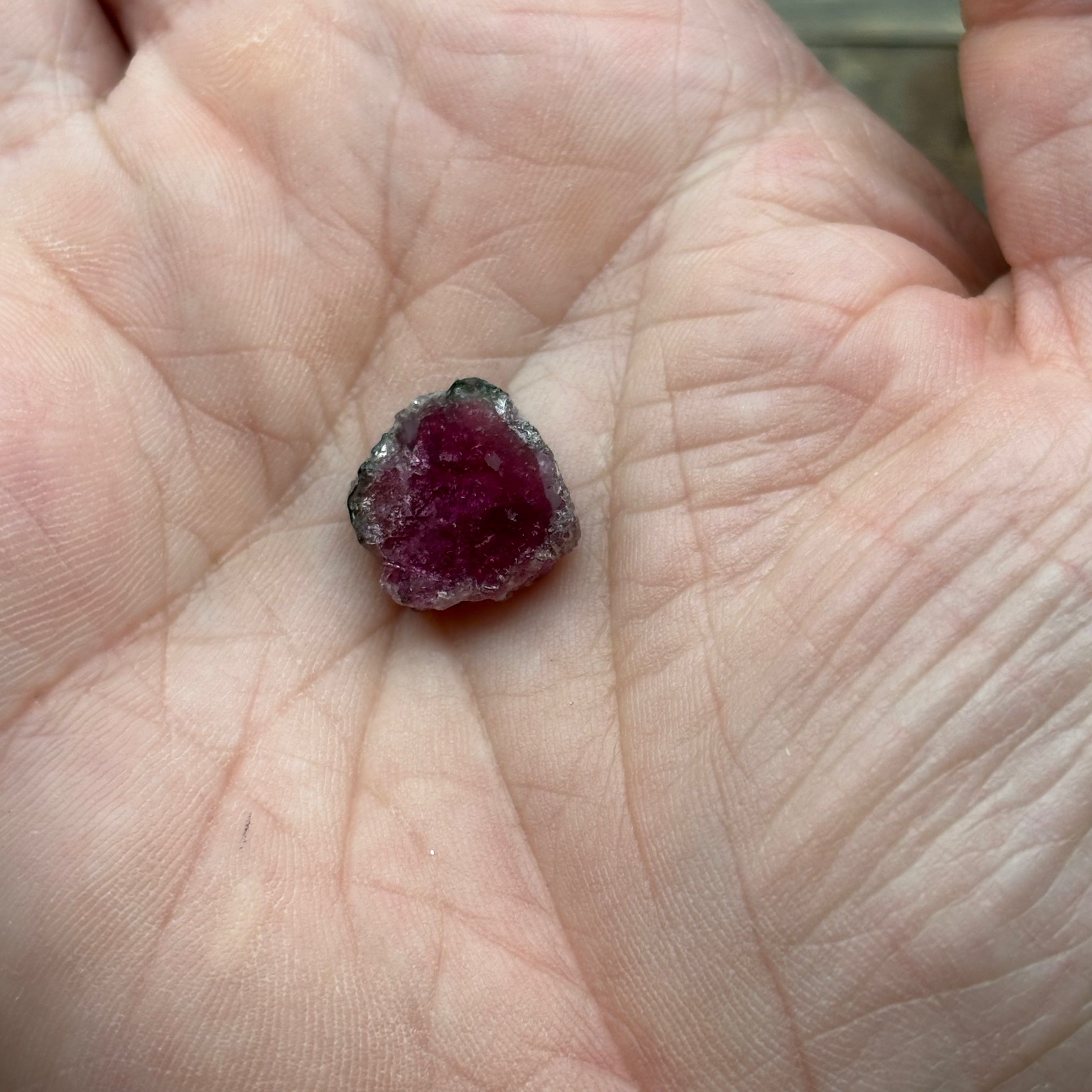 Watermelon Tourmaline Crystal Slice - 130