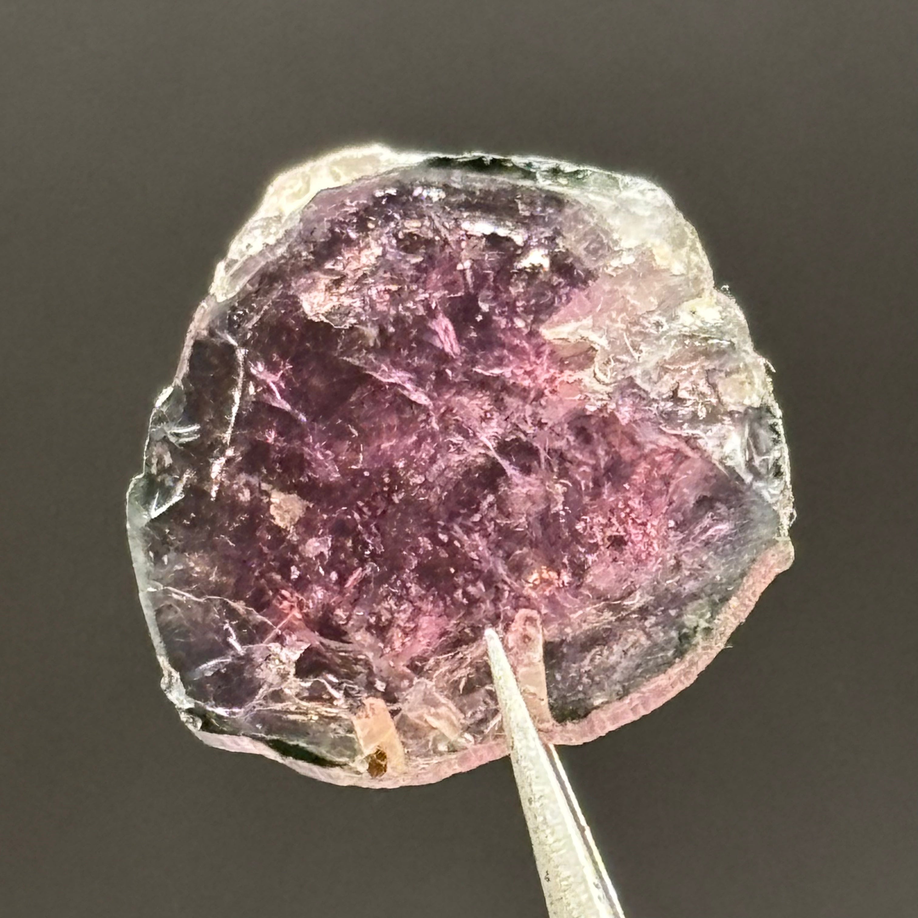 Watermelon Tourmaline Crystal Slice - 131
