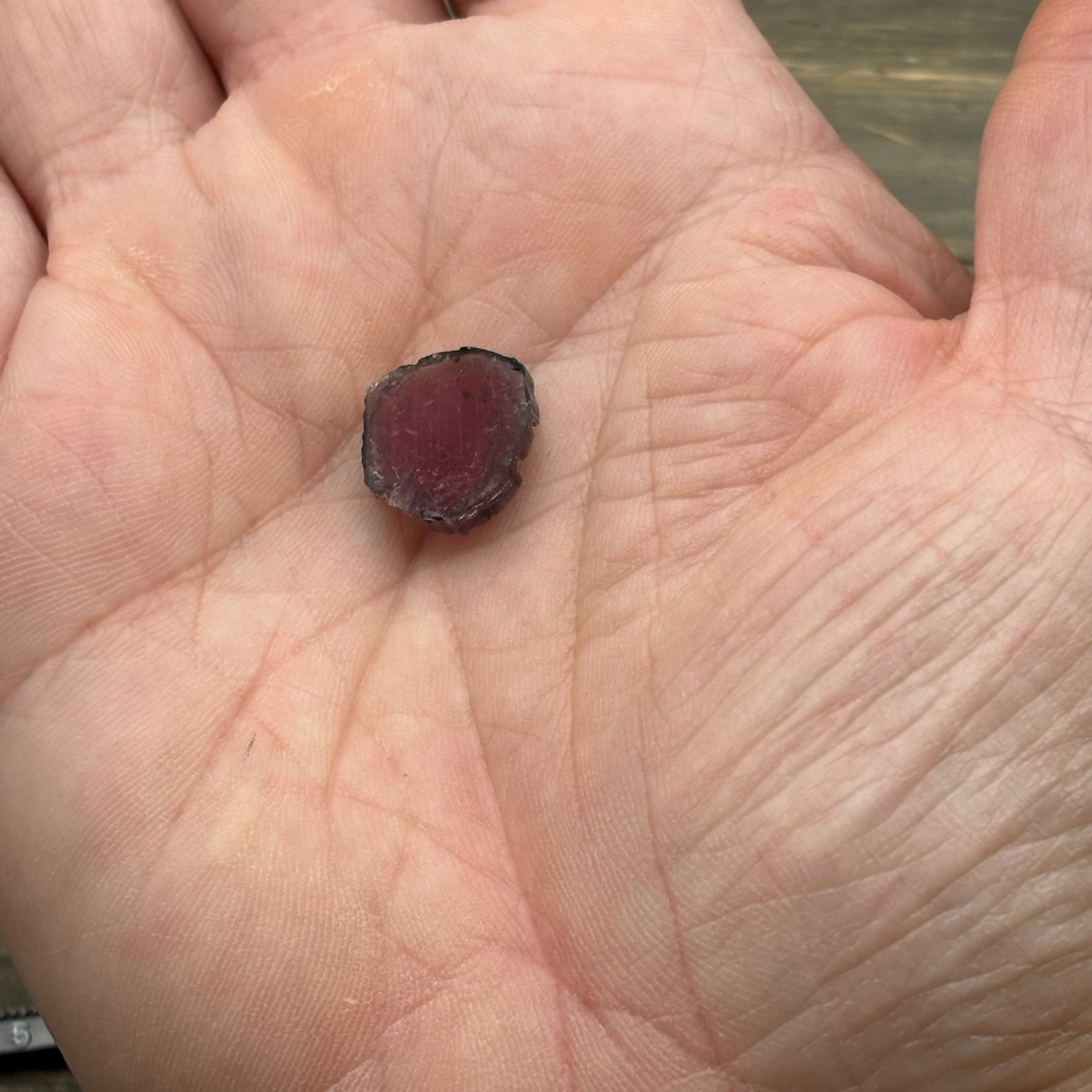 Watermelon Tourmaline Crystal Slice - 131