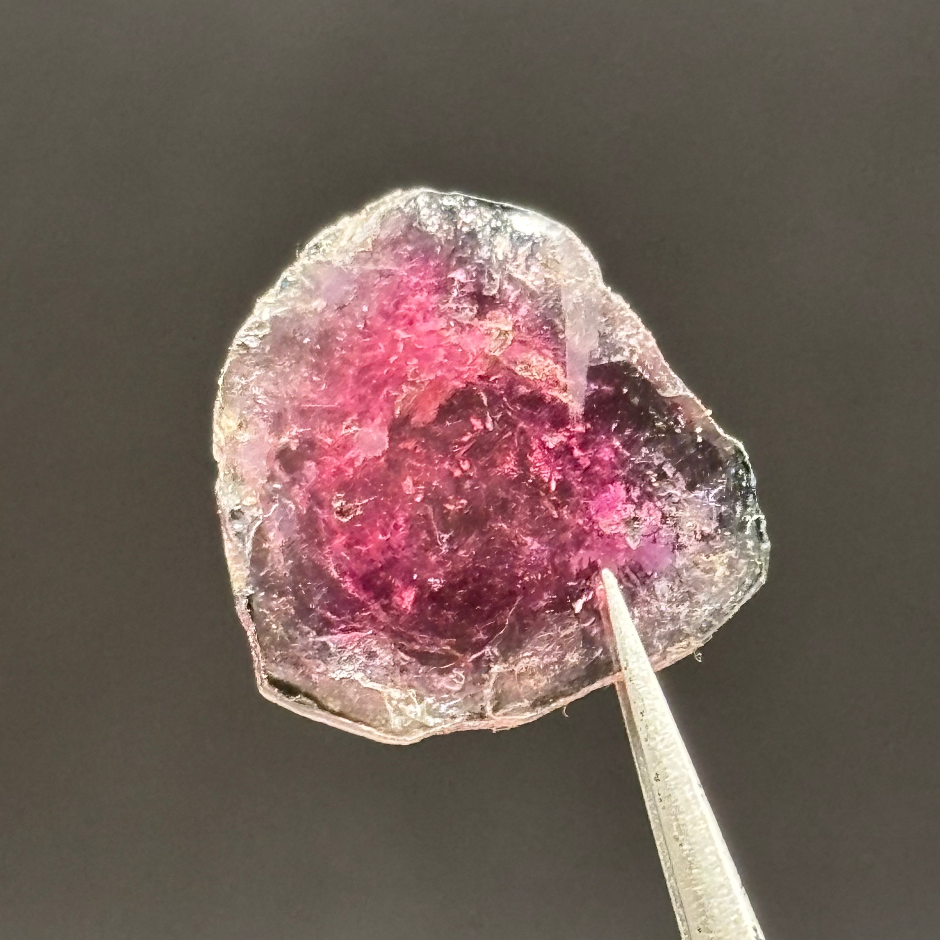 Watermelon Tourmaline Crystal Slice - 132