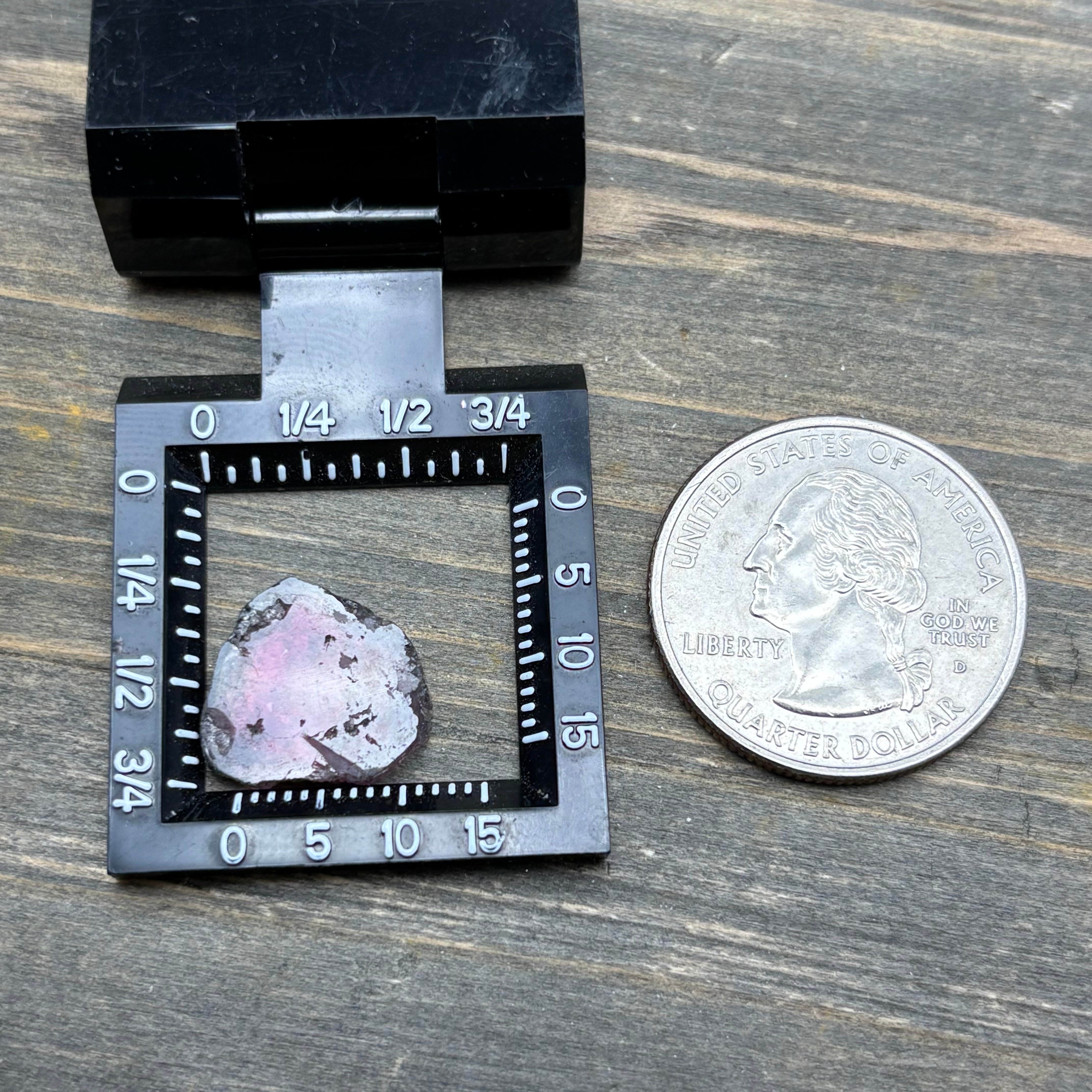 Watermelon Tourmaline Crystal Slice - 132
