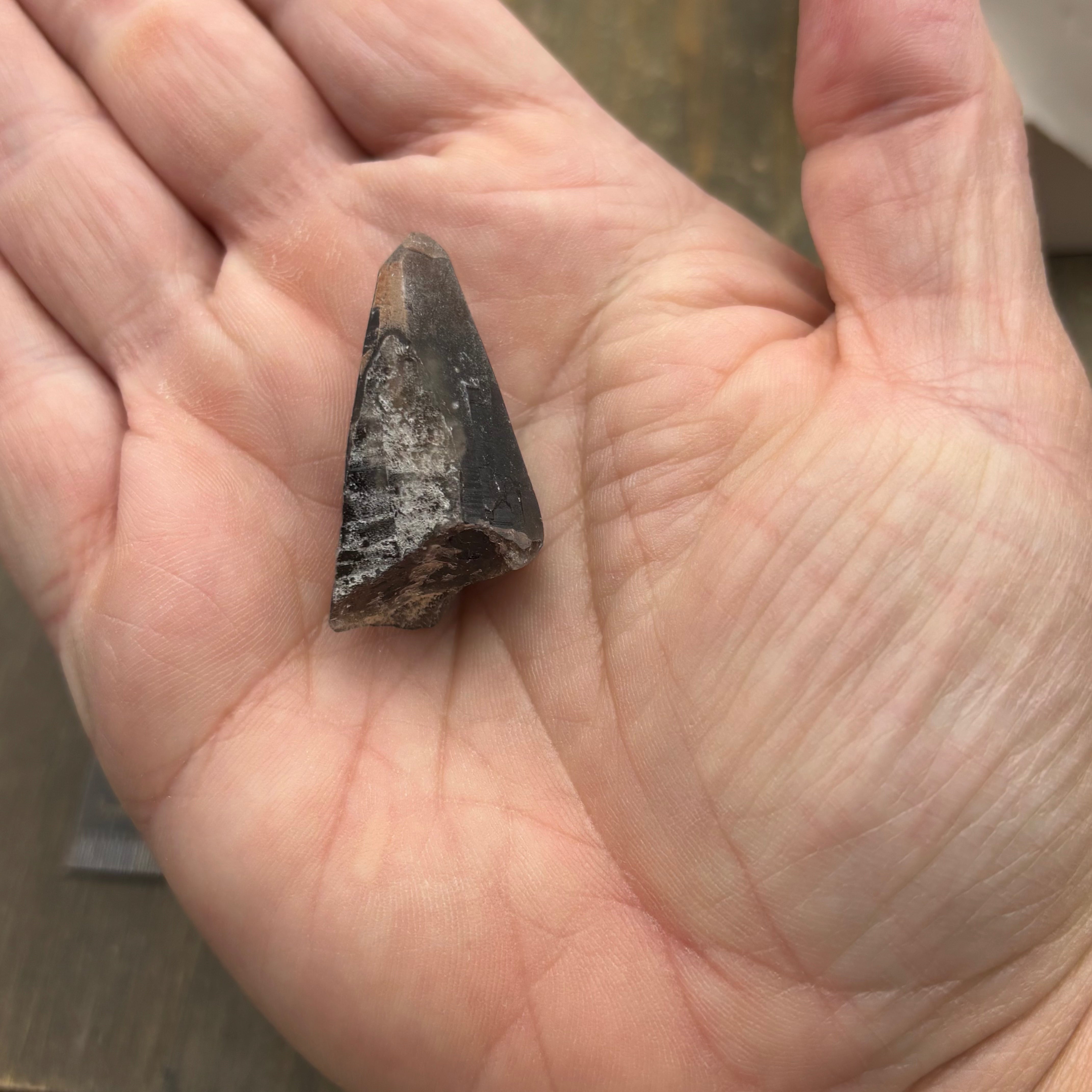 Dark Smoky Quartz Whole Crystal - 032