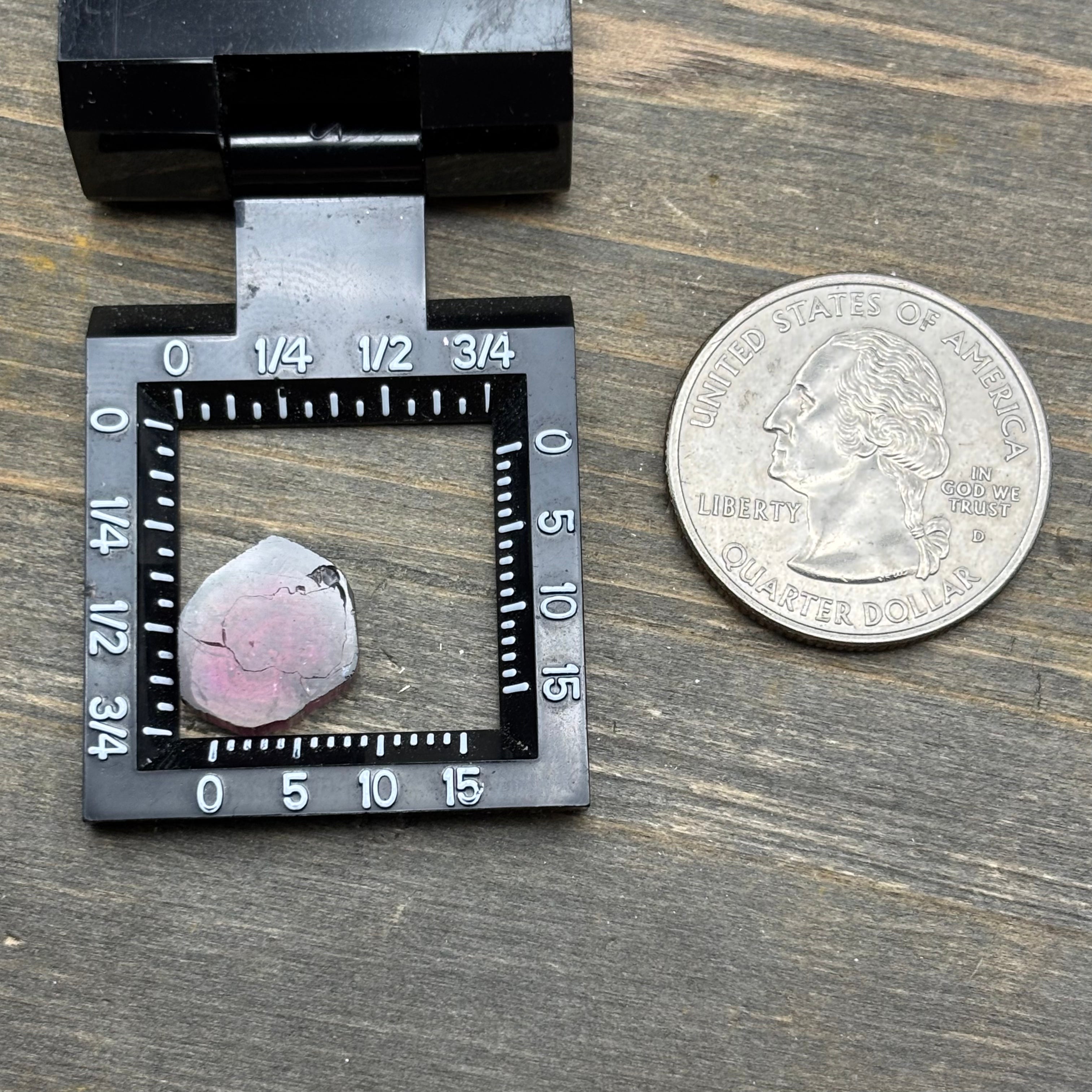 Watermelon Tourmaline Crystal Slice - 133