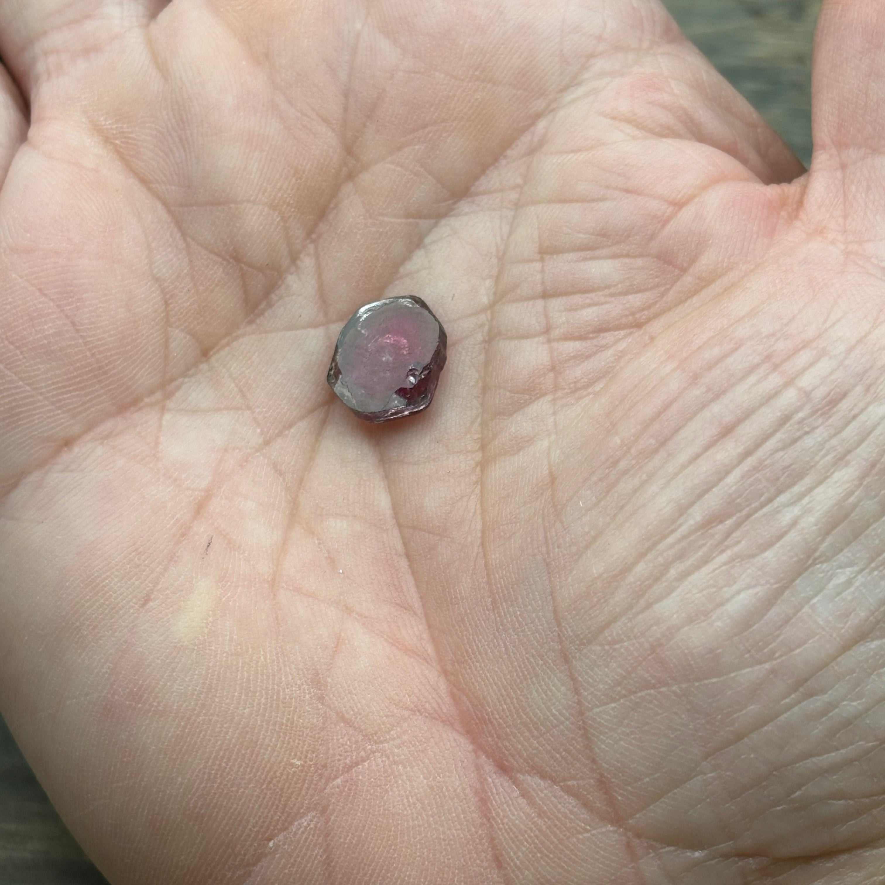 Watermelon Tourmaline Crystal Slice - 133
