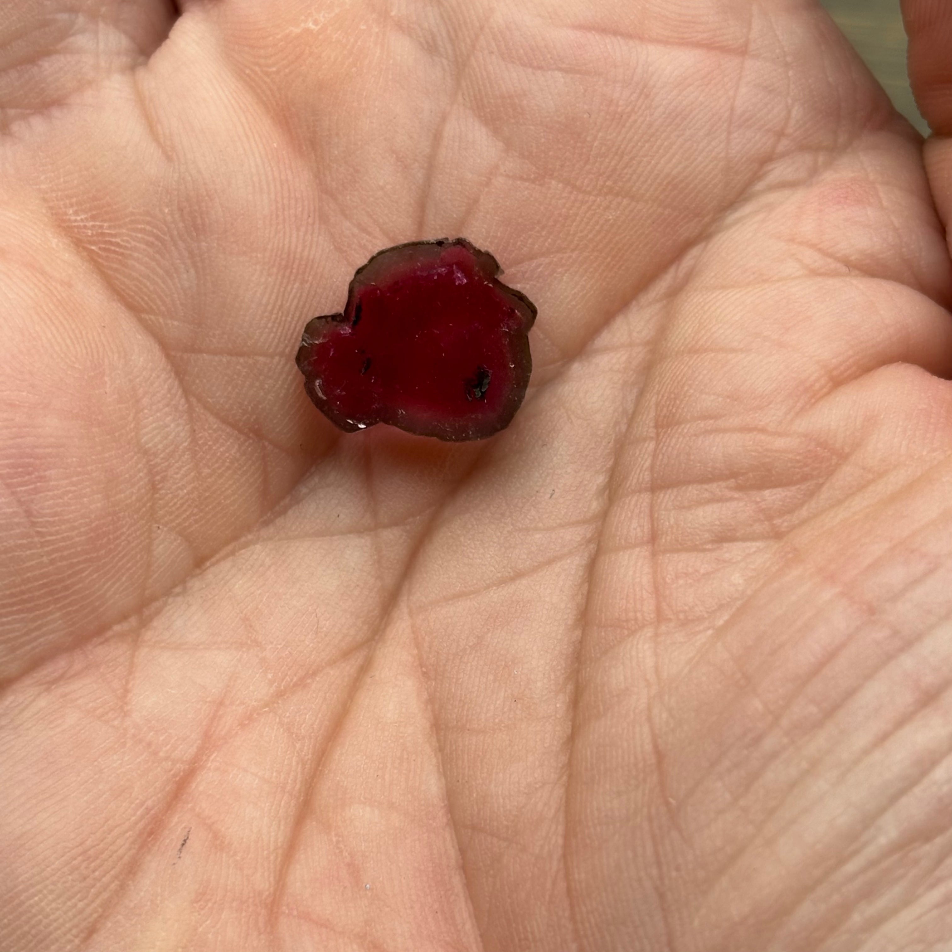 Watermelon Tourmaline Crystal Slice - 135