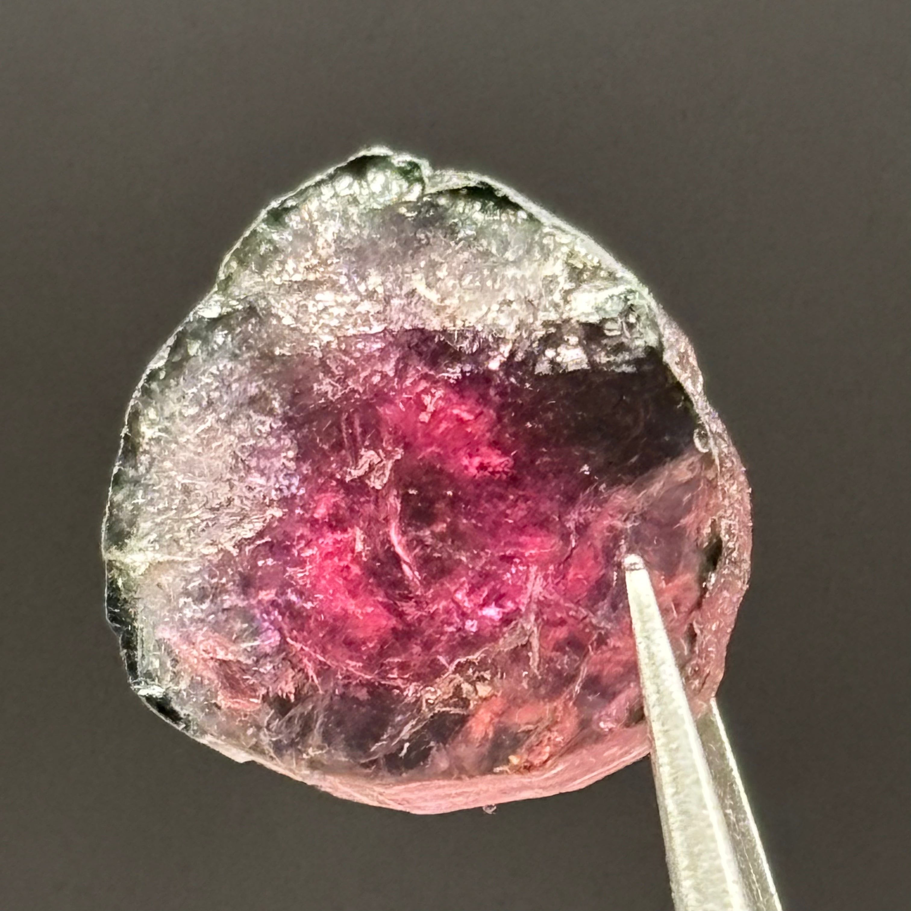 Watermelon Tourmaline Crystal Slice - 138