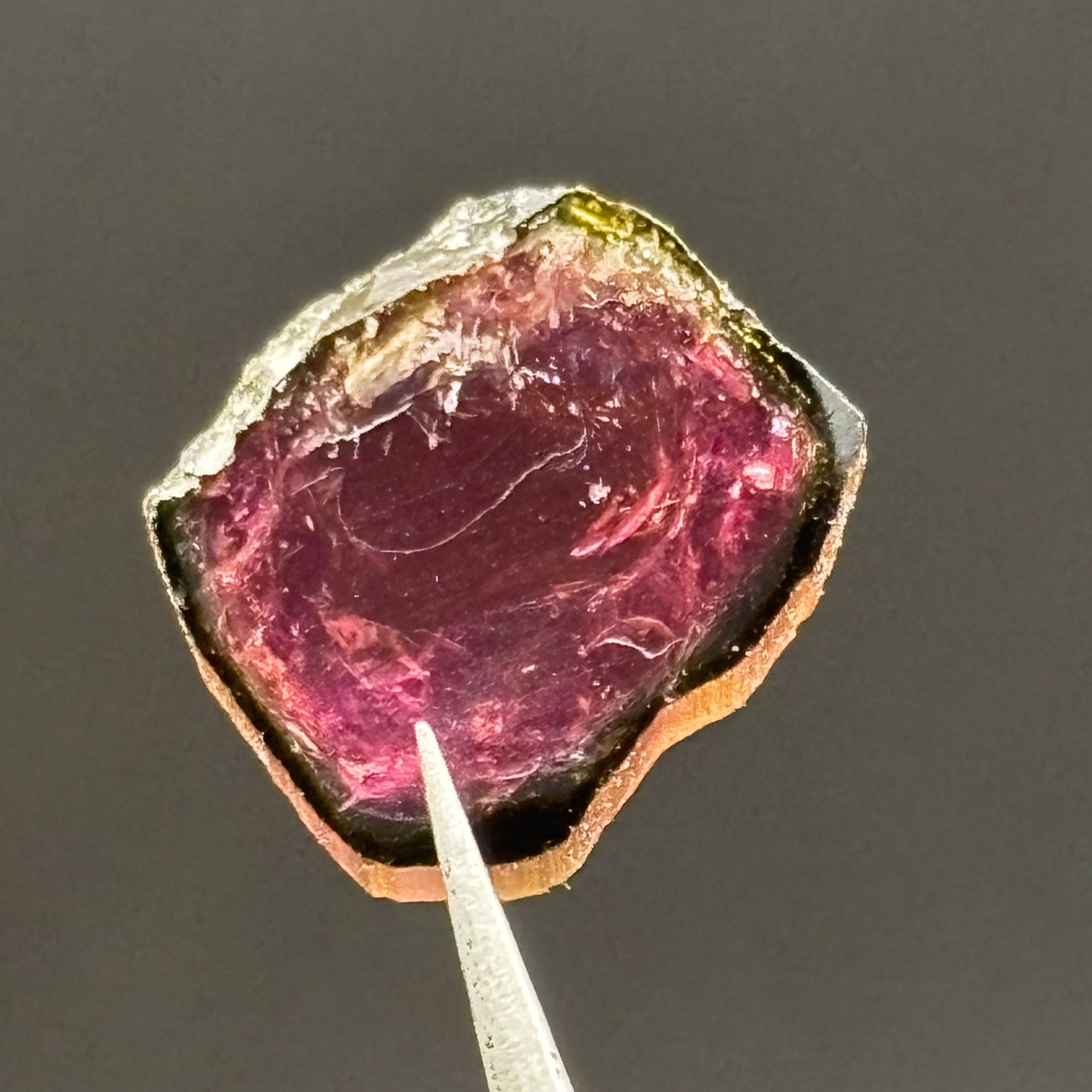 Watermelon Tourmaline Crystal Slice - 139
