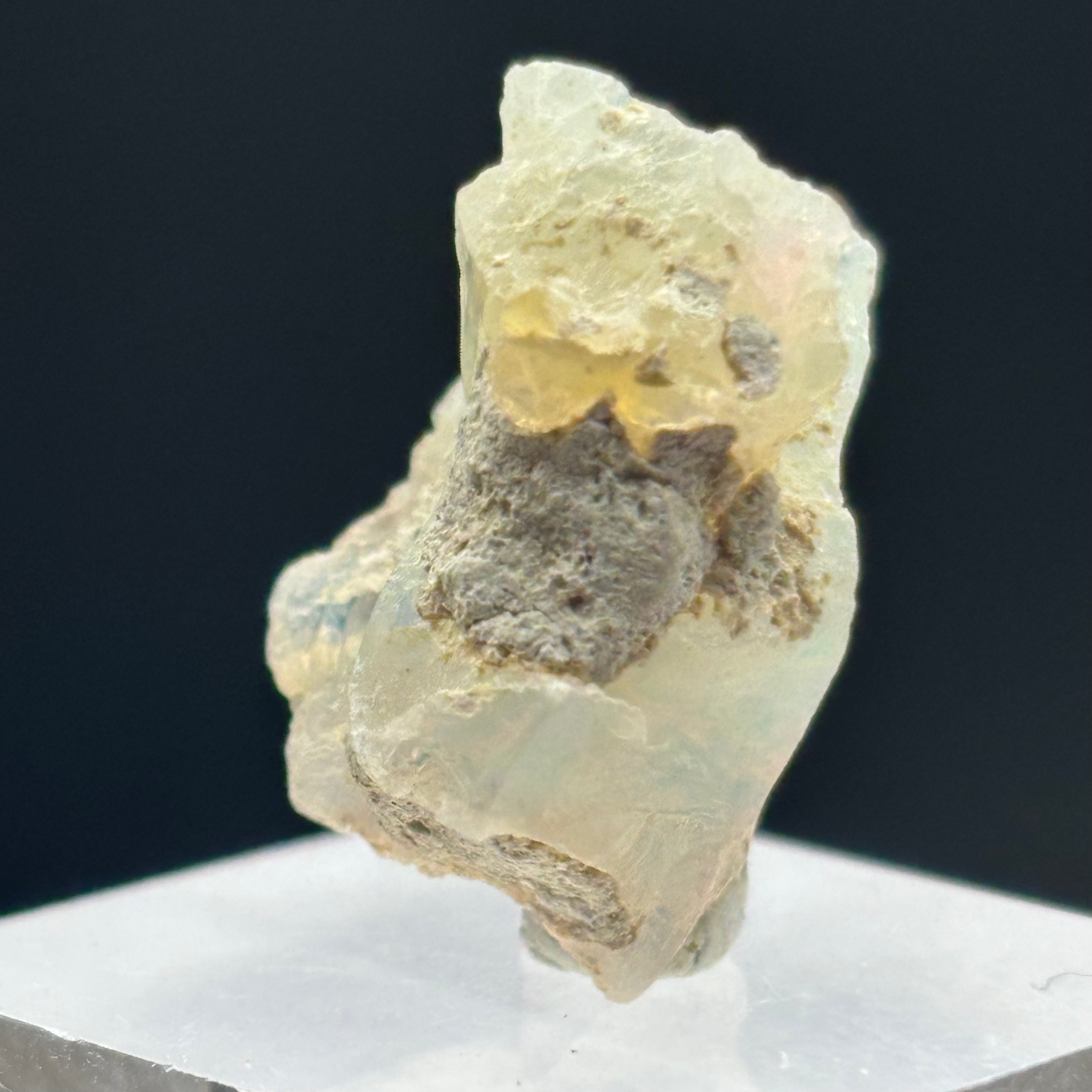 Welo Opal - 196