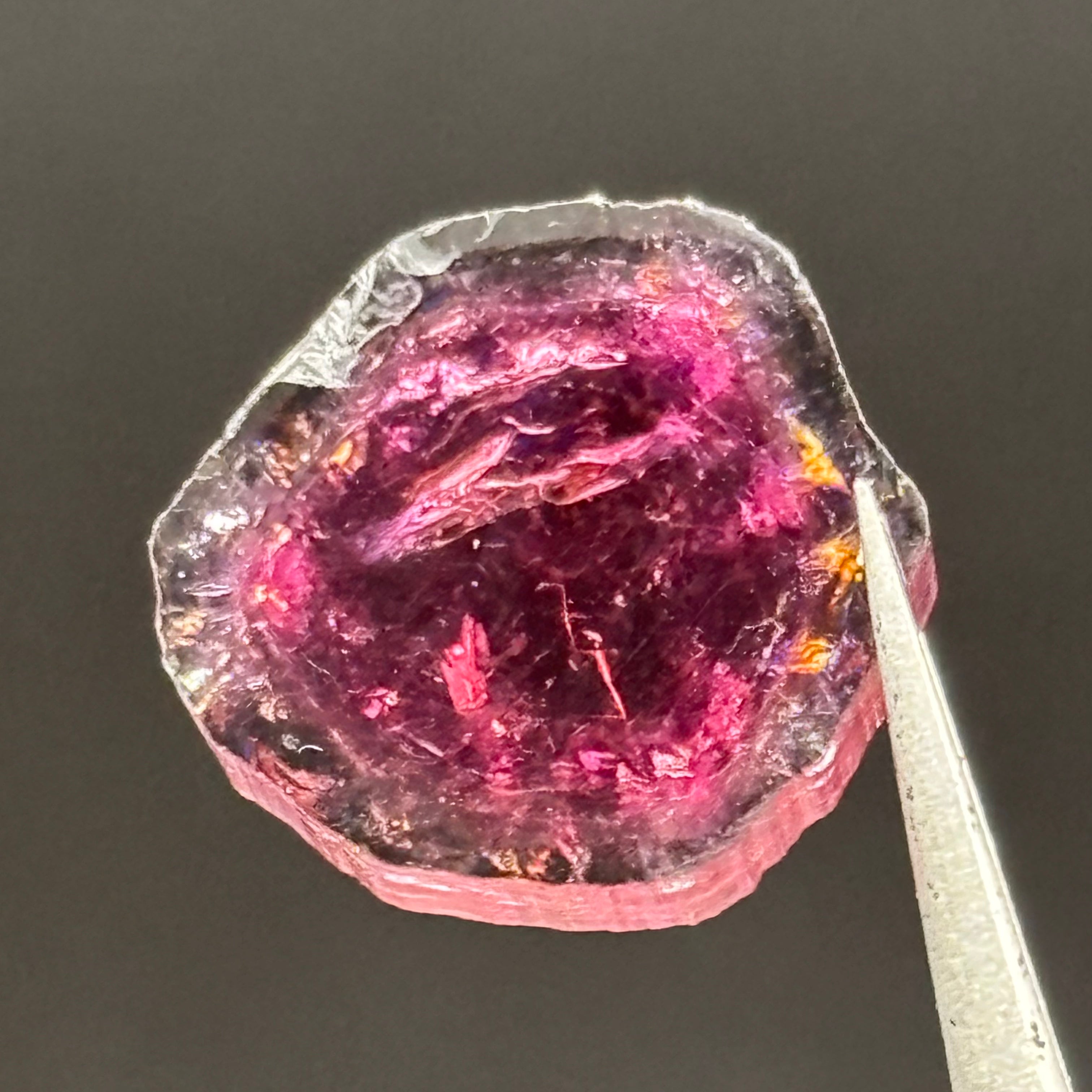 Watermelon Tourmaline Crystal Slice - 140