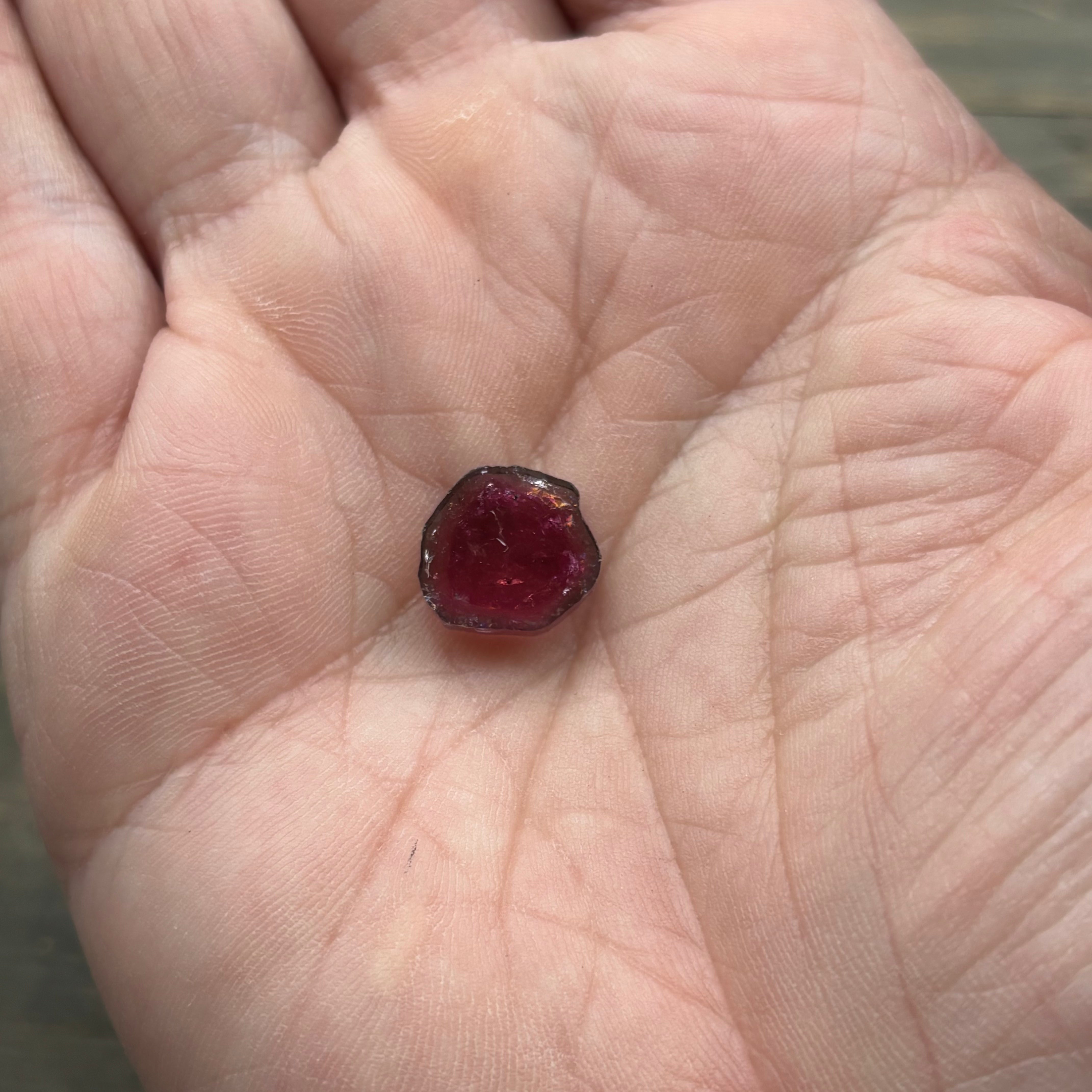 Watermelon Tourmaline Crystal Slice - 140