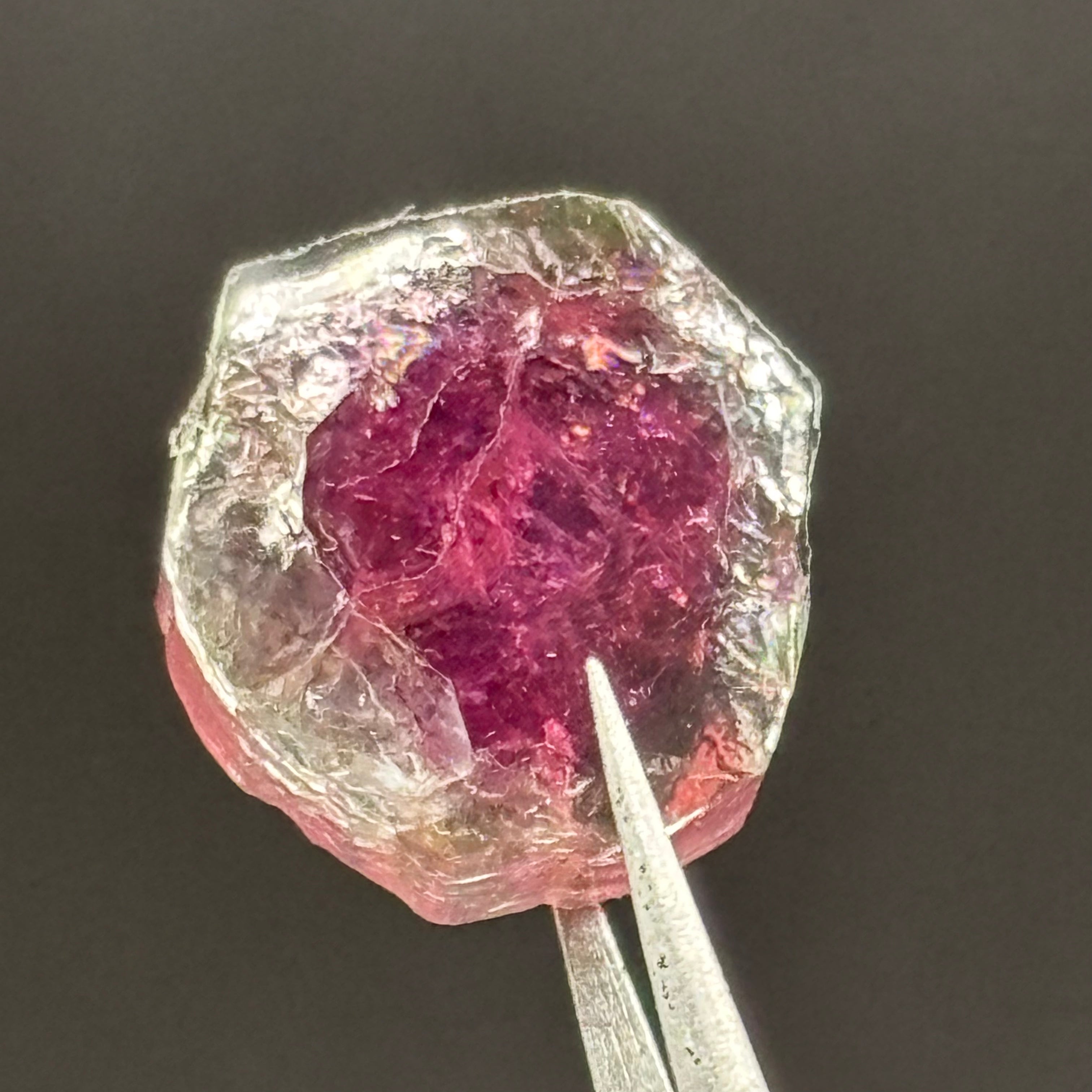 Watermelon Tourmaline Crystal Slice - 142