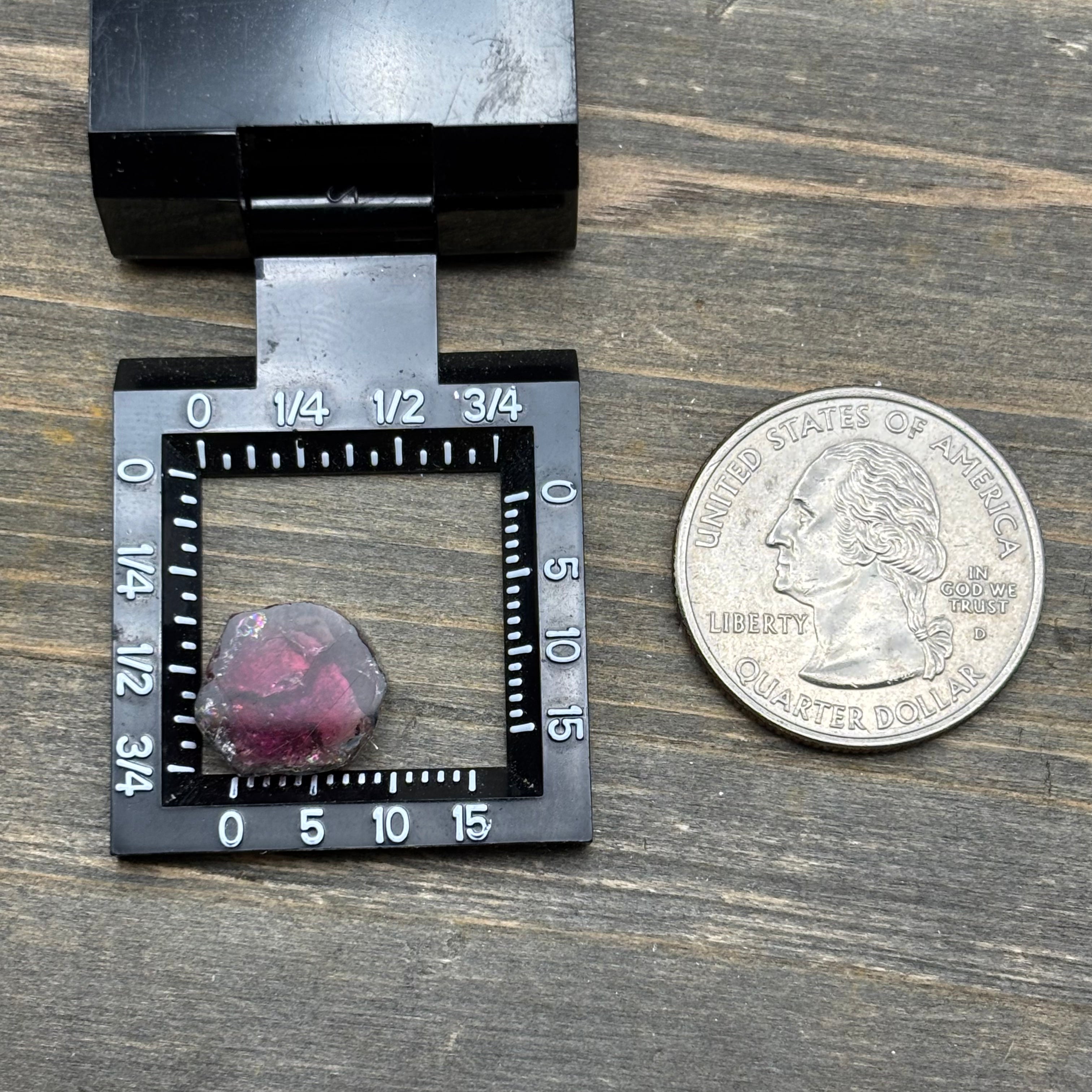 Watermelon Tourmaline Crystal Slice - 142