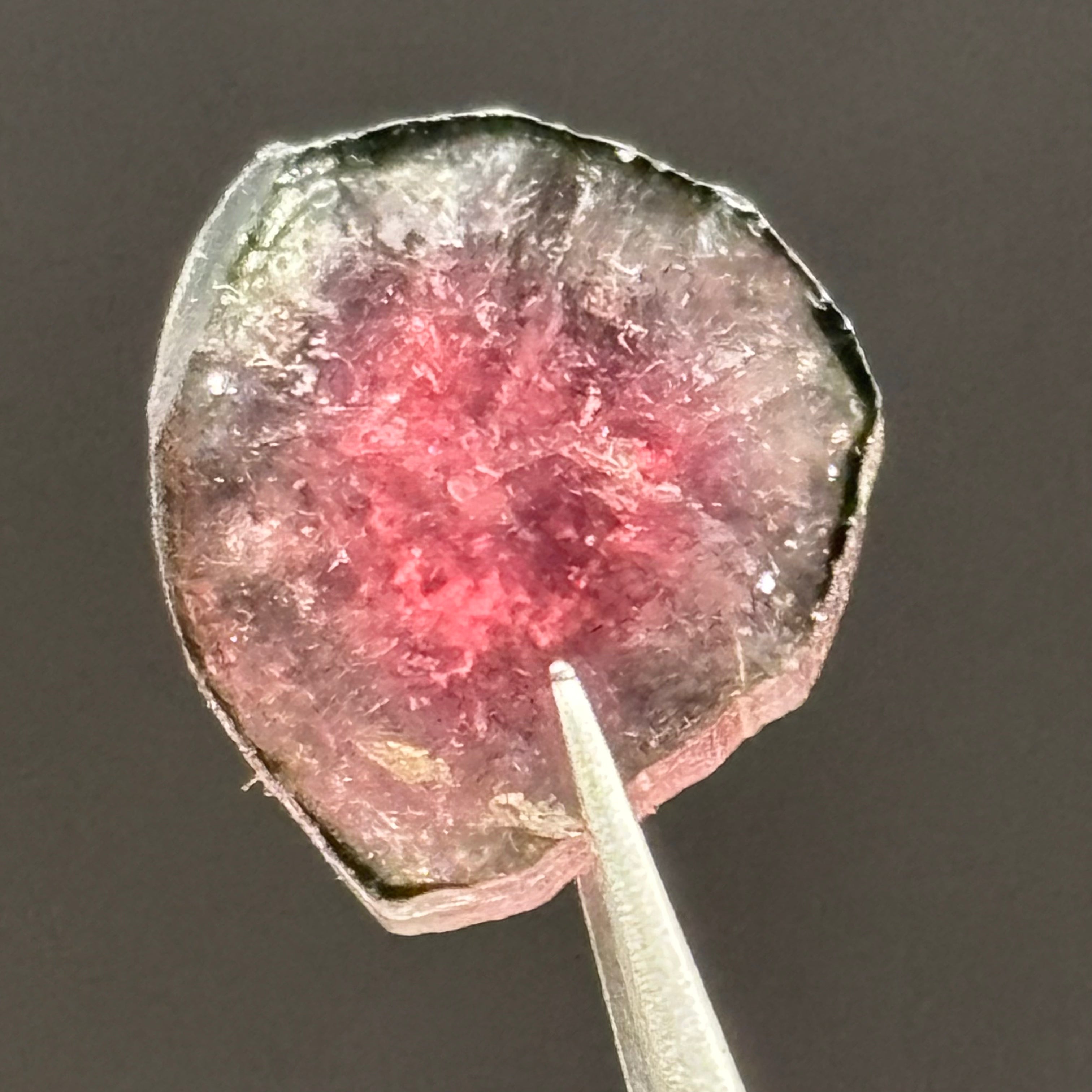 Watermelon Tourmaline Crystal Slice - 143