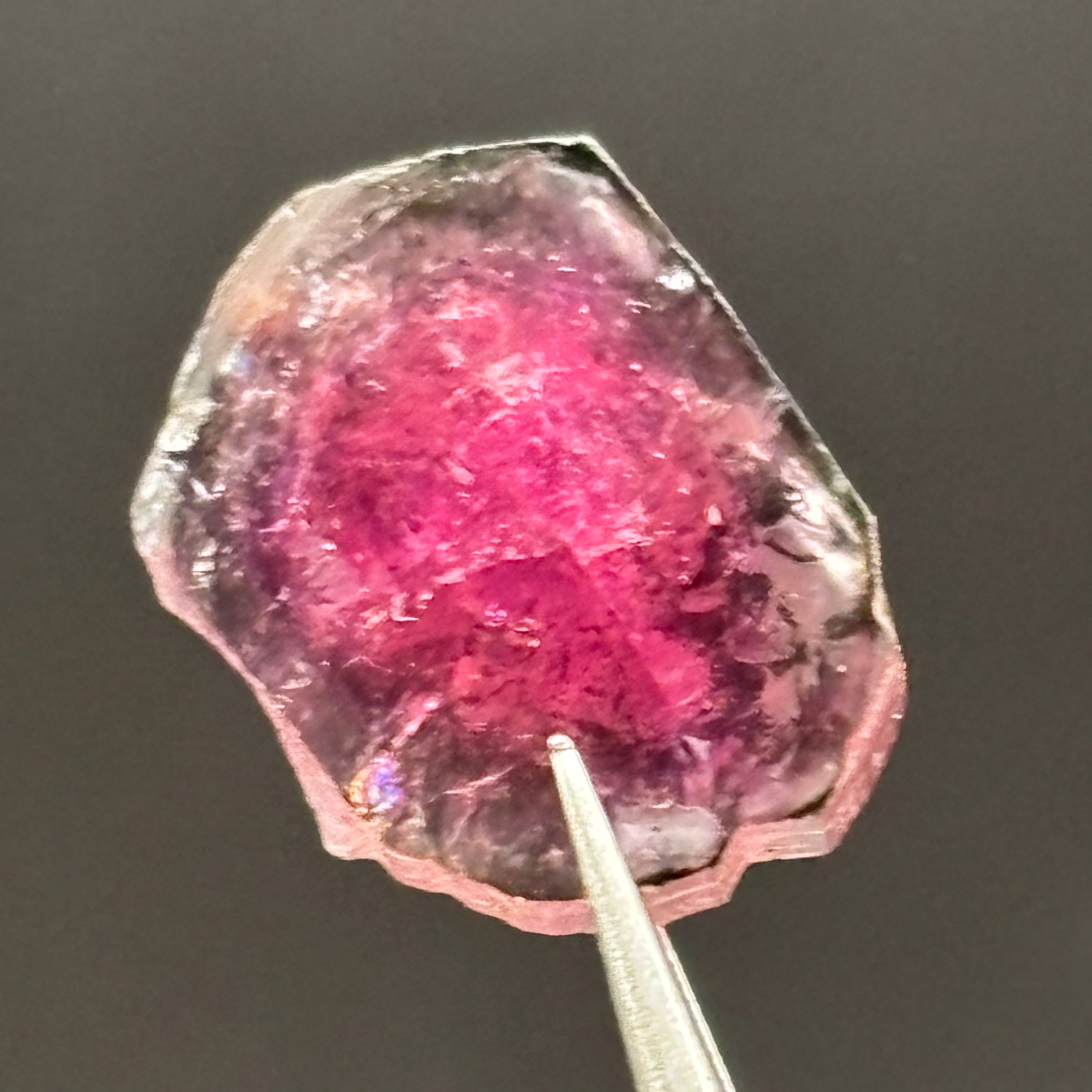 Watermelon Tourmaline Crystal Slice - 144