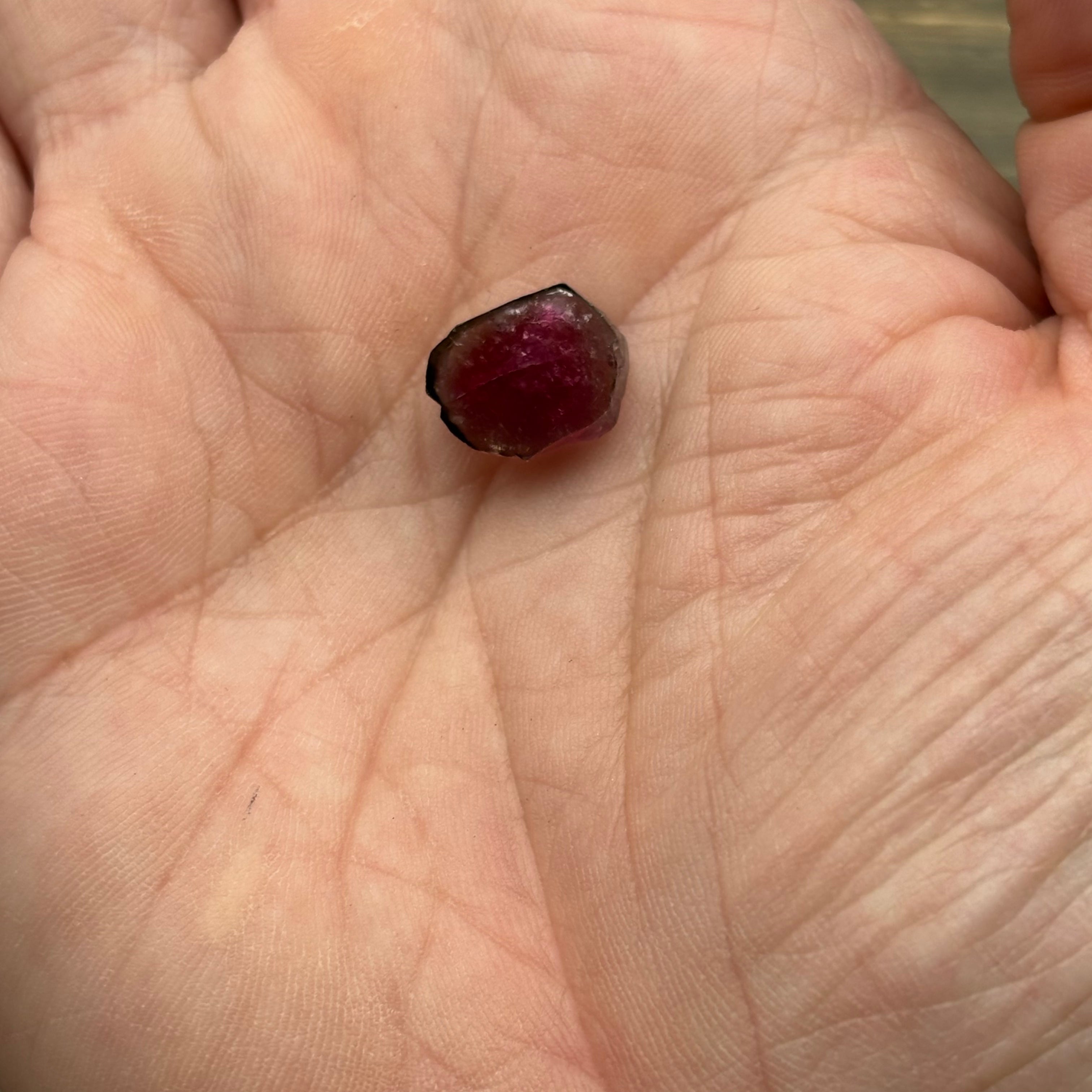 Watermelon Tourmaline Crystal Slice - 144