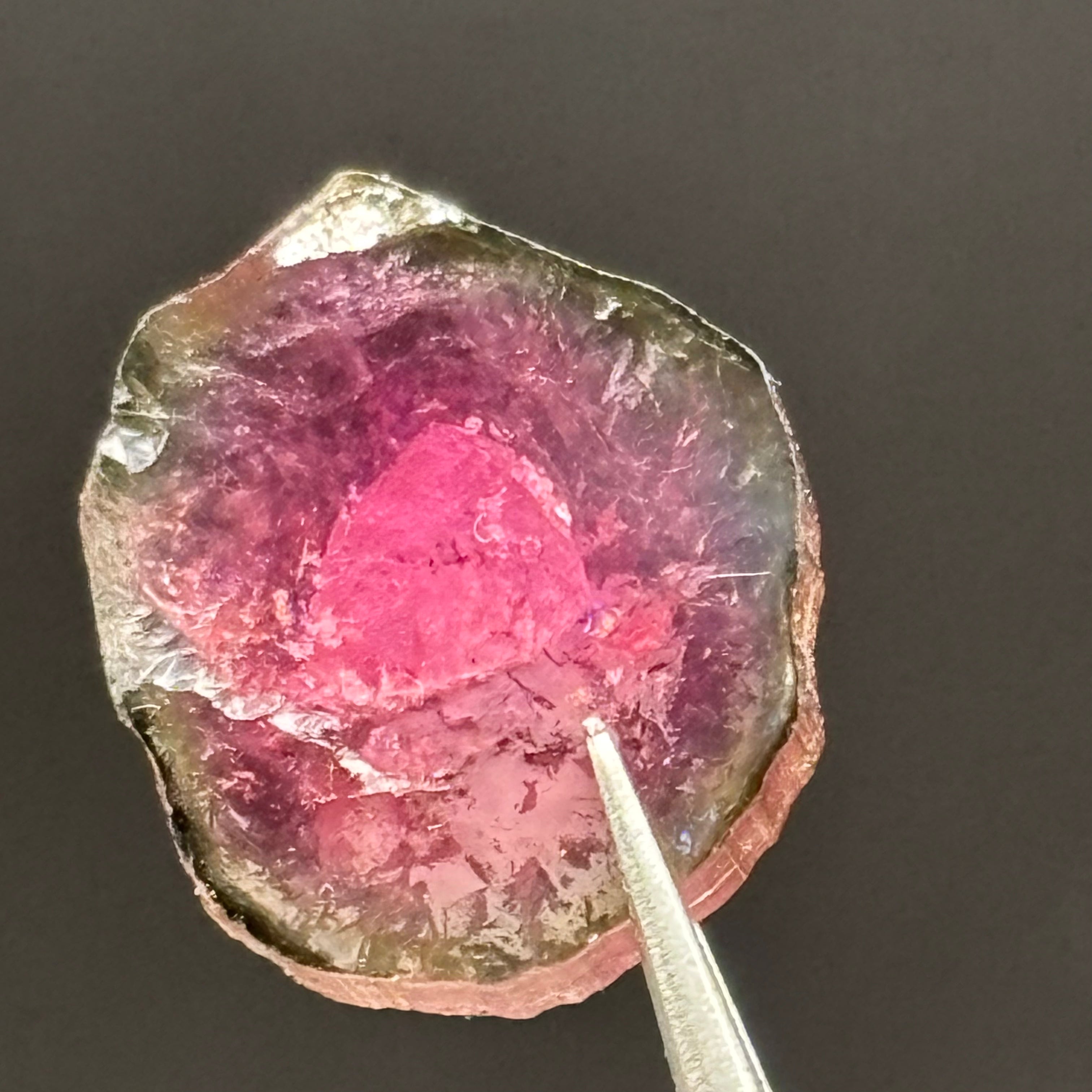 Watermelon Tourmaline Crystal Slice - 145