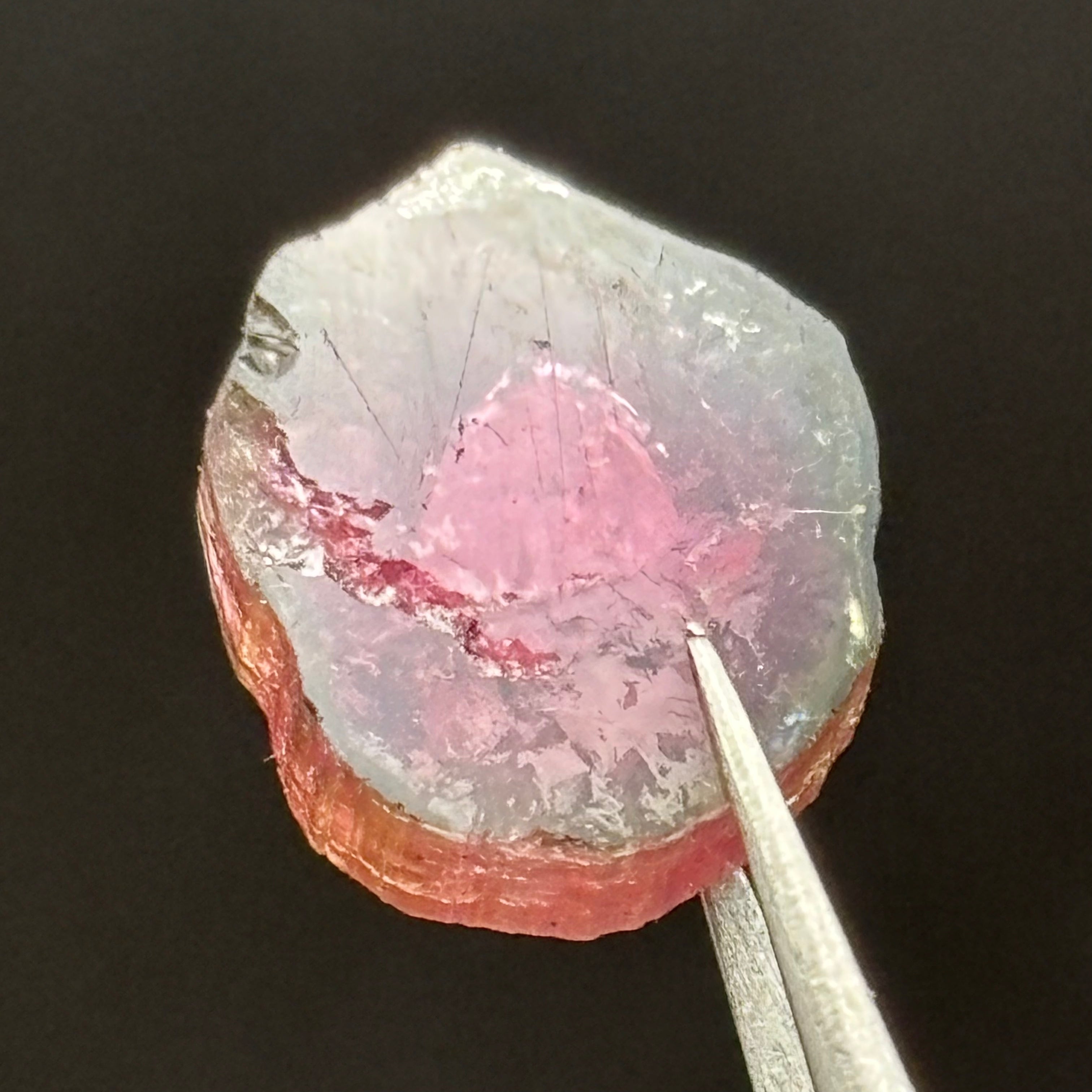 Watermelon Tourmaline Crystal Slice - 145
