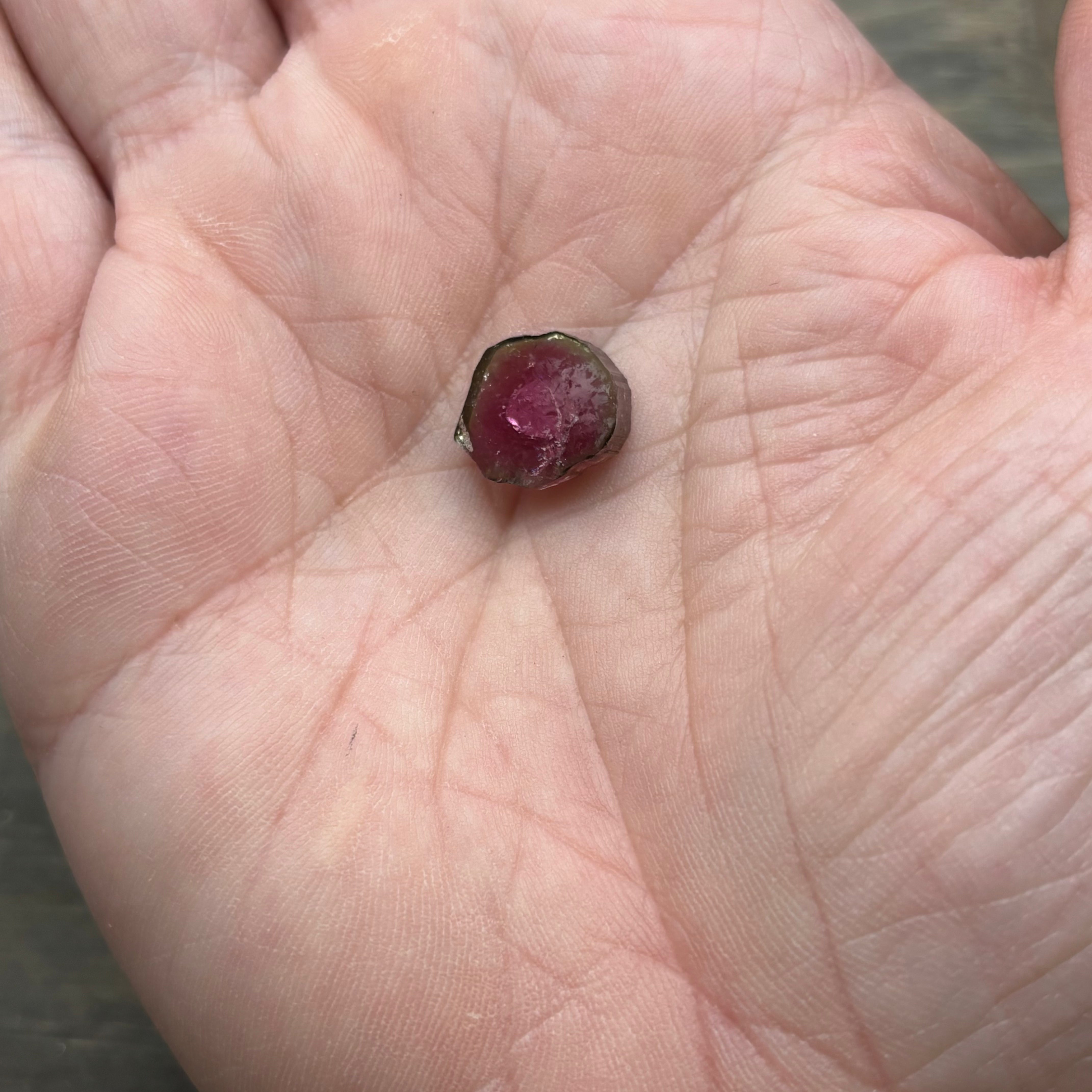 Watermelon Tourmaline Crystal Slice - 145
