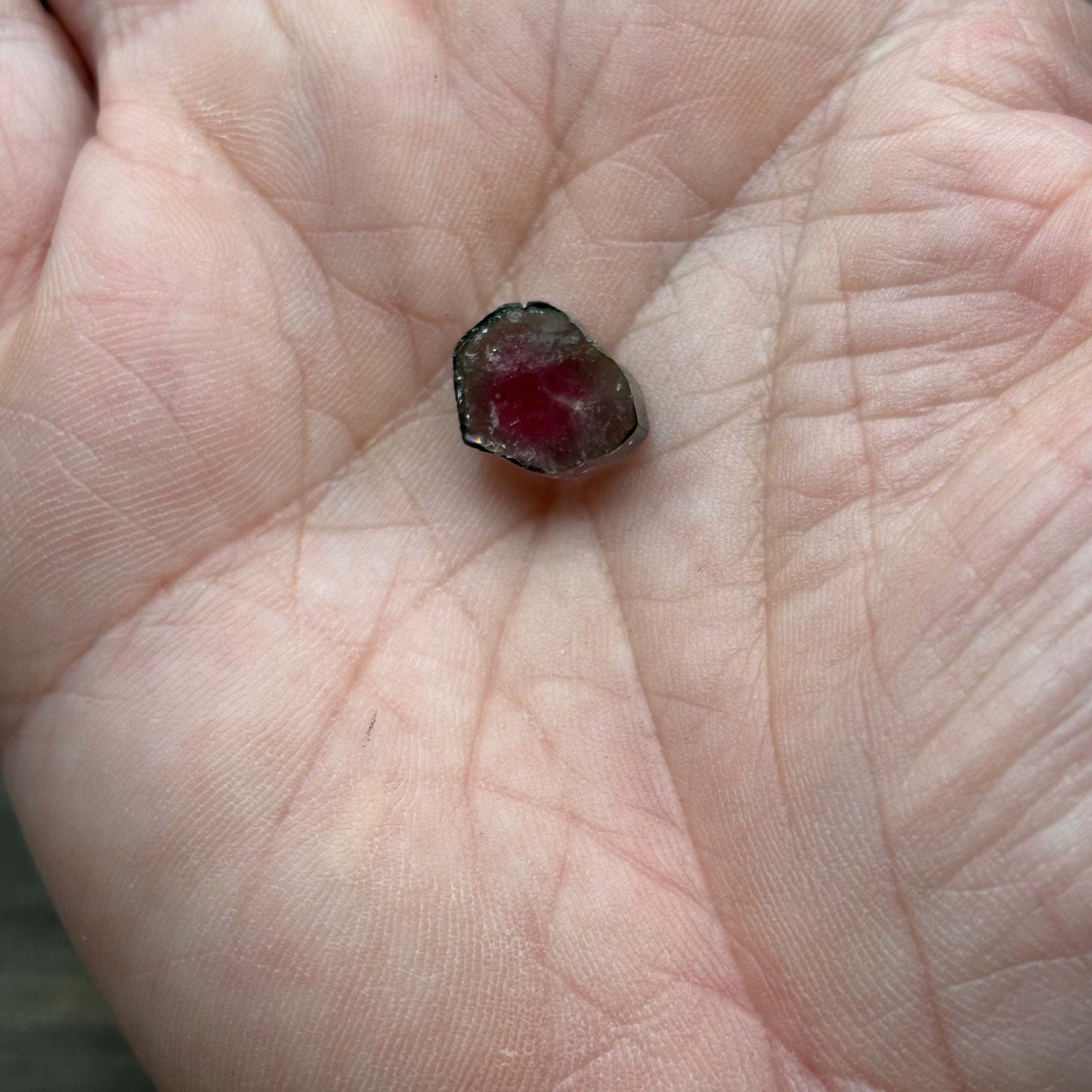 Watermelon Tourmaline Crystal Slice - 146