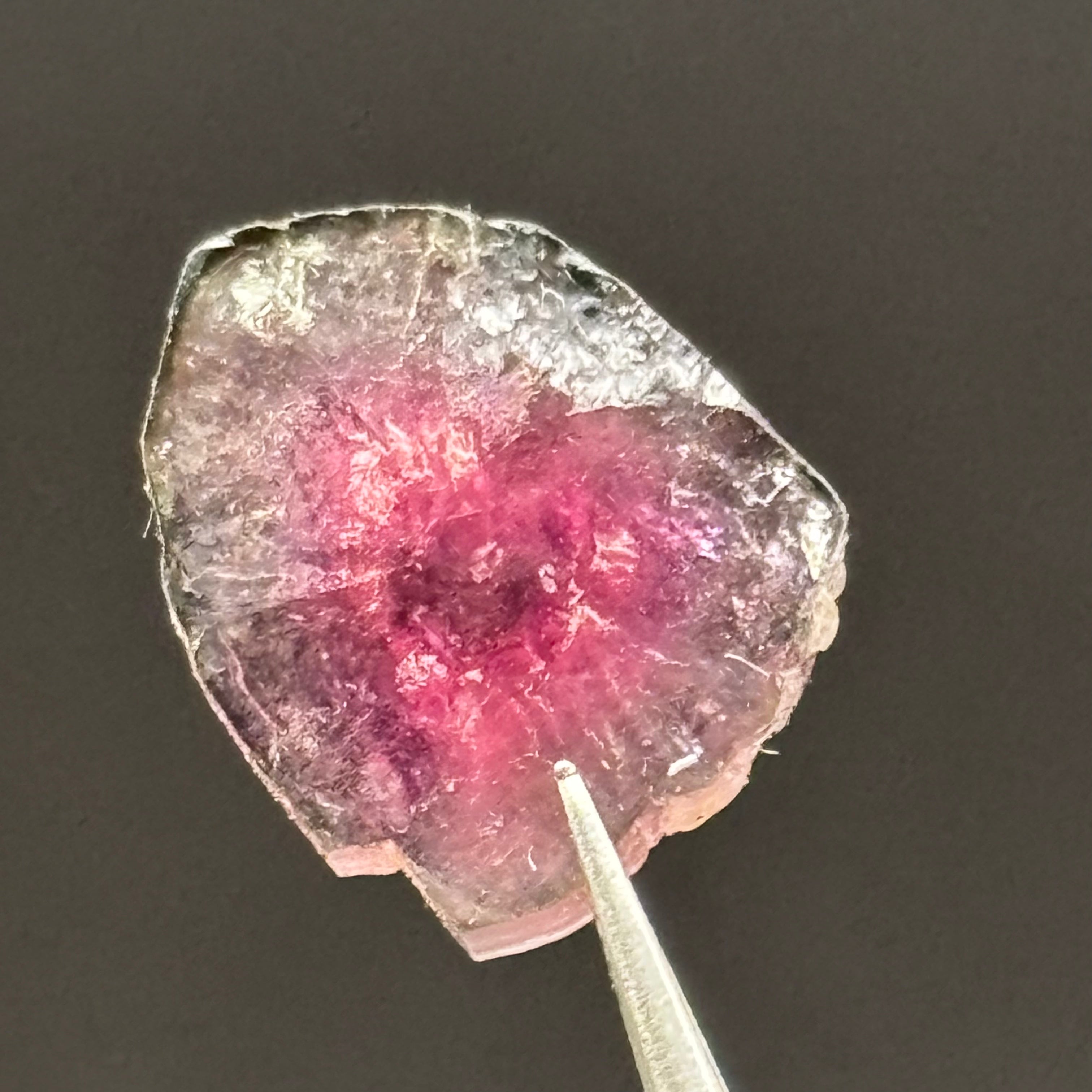 Watermelon Tourmaline Crystal Slice - 147