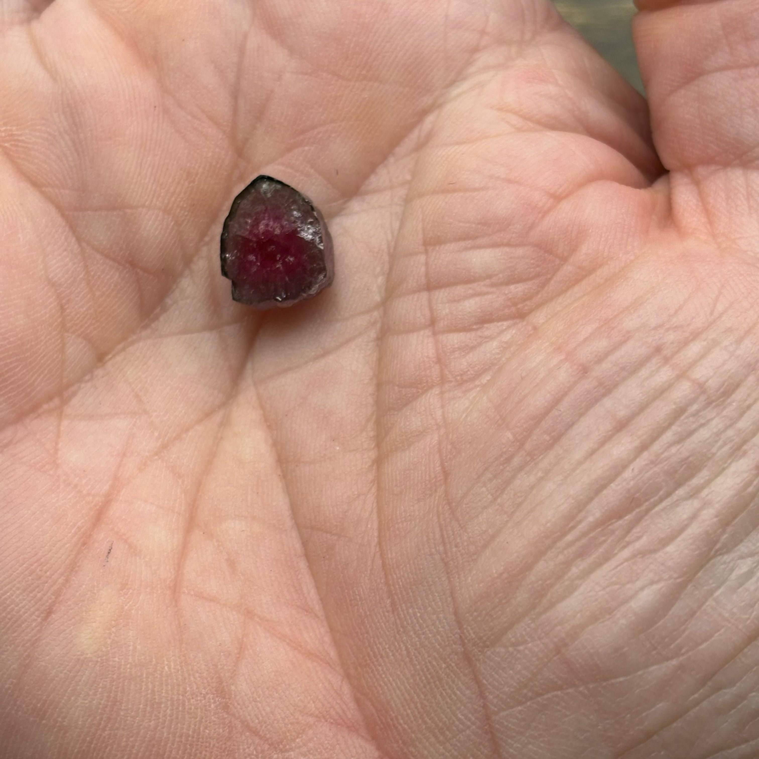 Watermelon Tourmaline Crystal Slice - 147