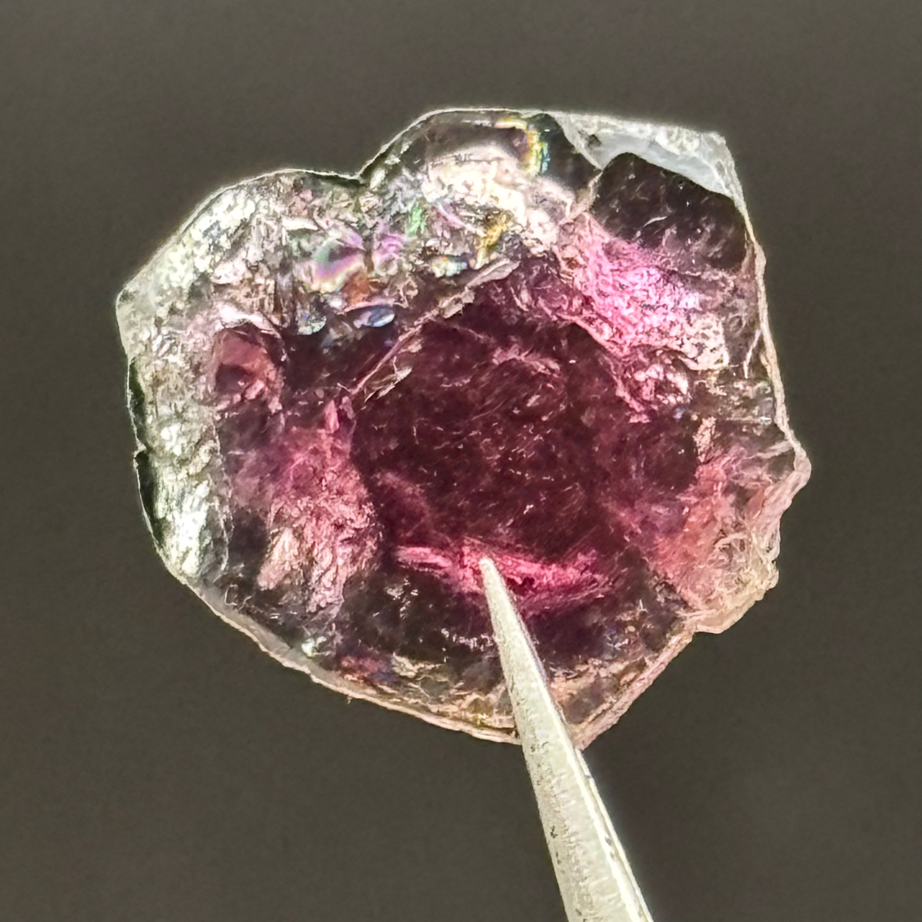 Watermelon Tourmaline Crystal Slice - 148